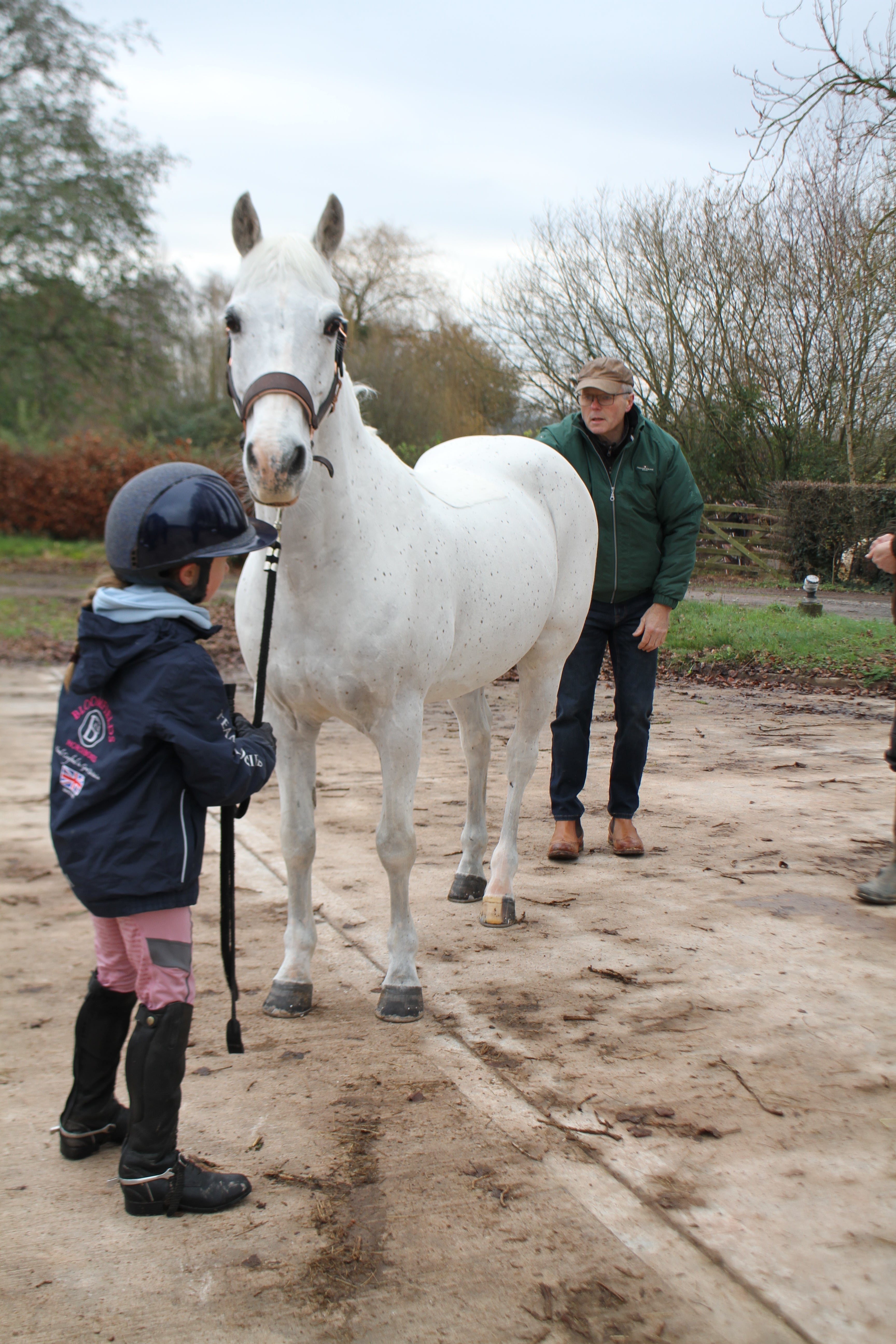 Saddle Fitting- Movement and Hindlimb loading