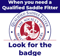 Why Should I Get My Horse's Saddle Checked, and How Often?