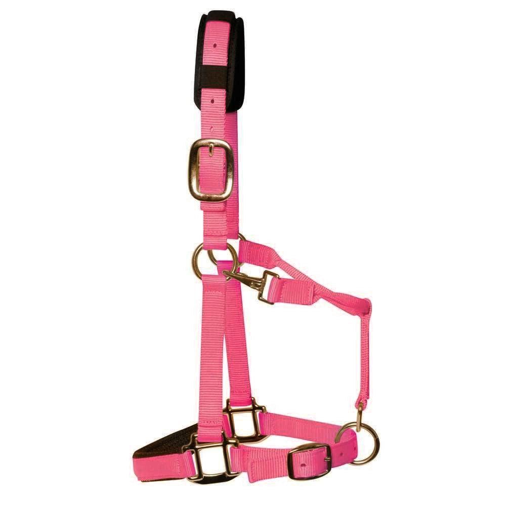 km elite padded headcollar pink - equestrian equipment