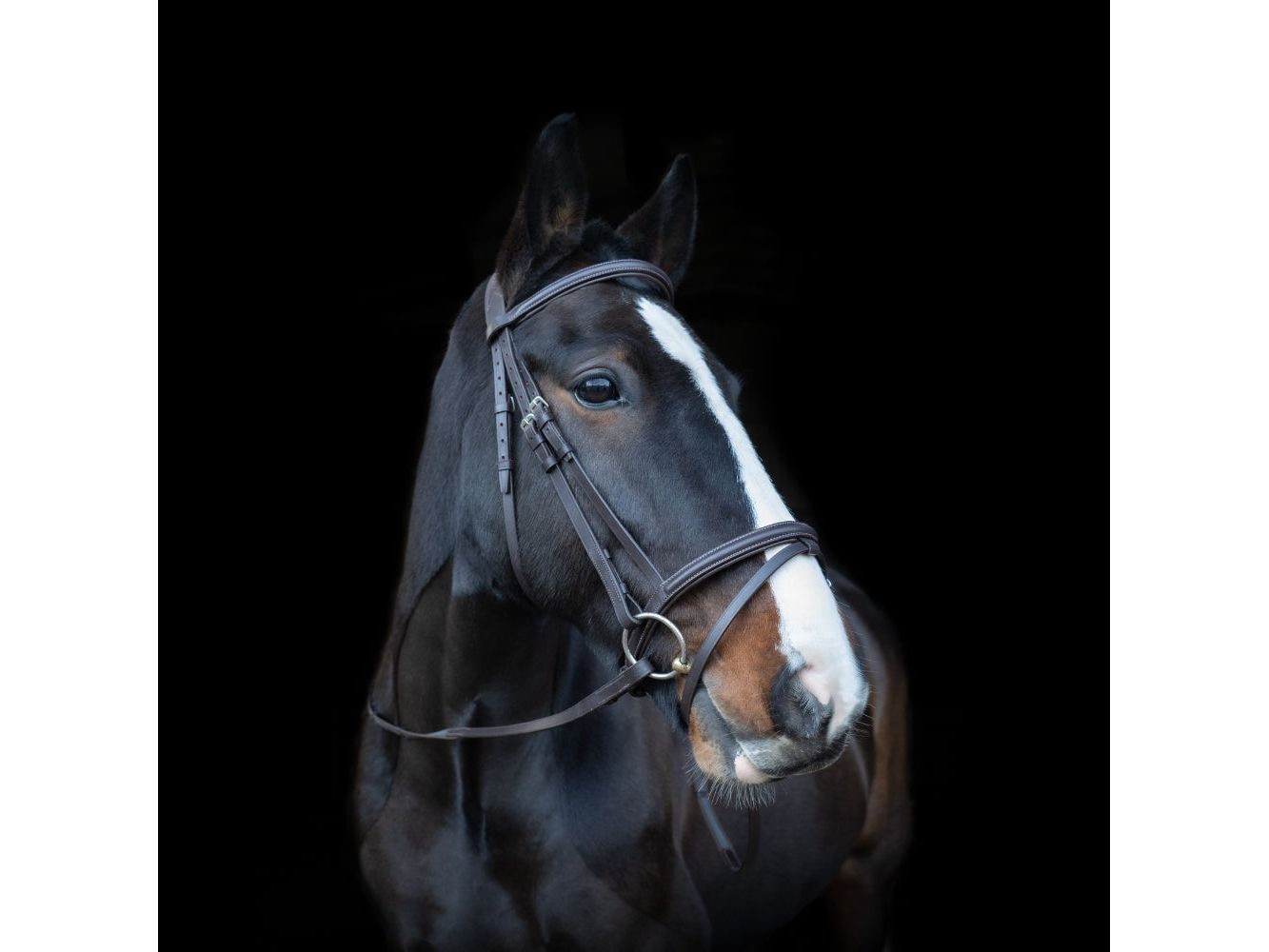 Anatomic Comfort Bridle main view