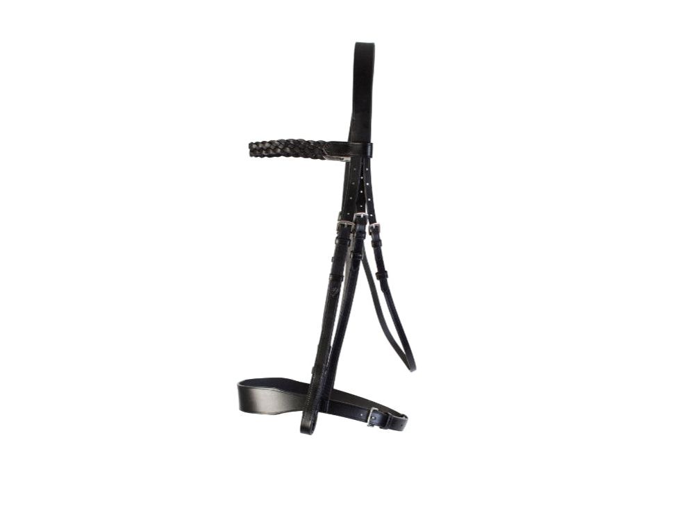 Hunt Bridle 2 Browbands side view