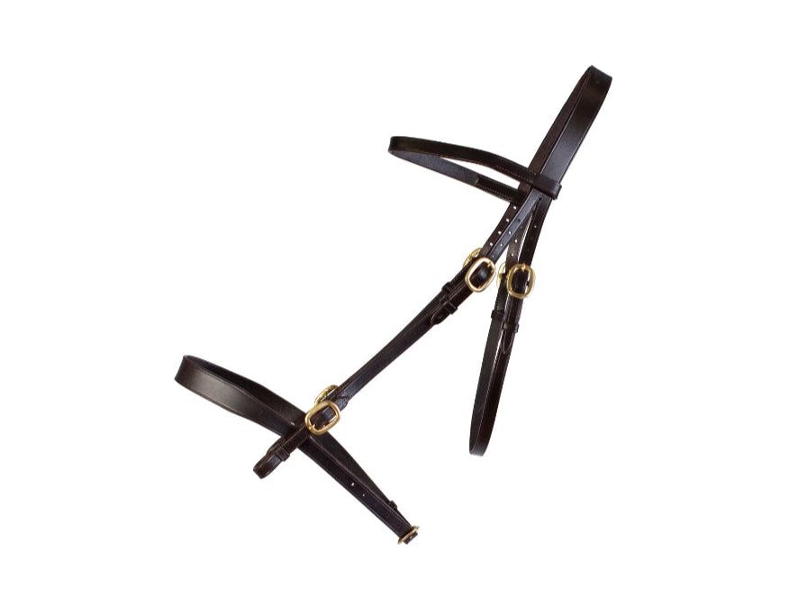 In Hand Bridle and Lead side view