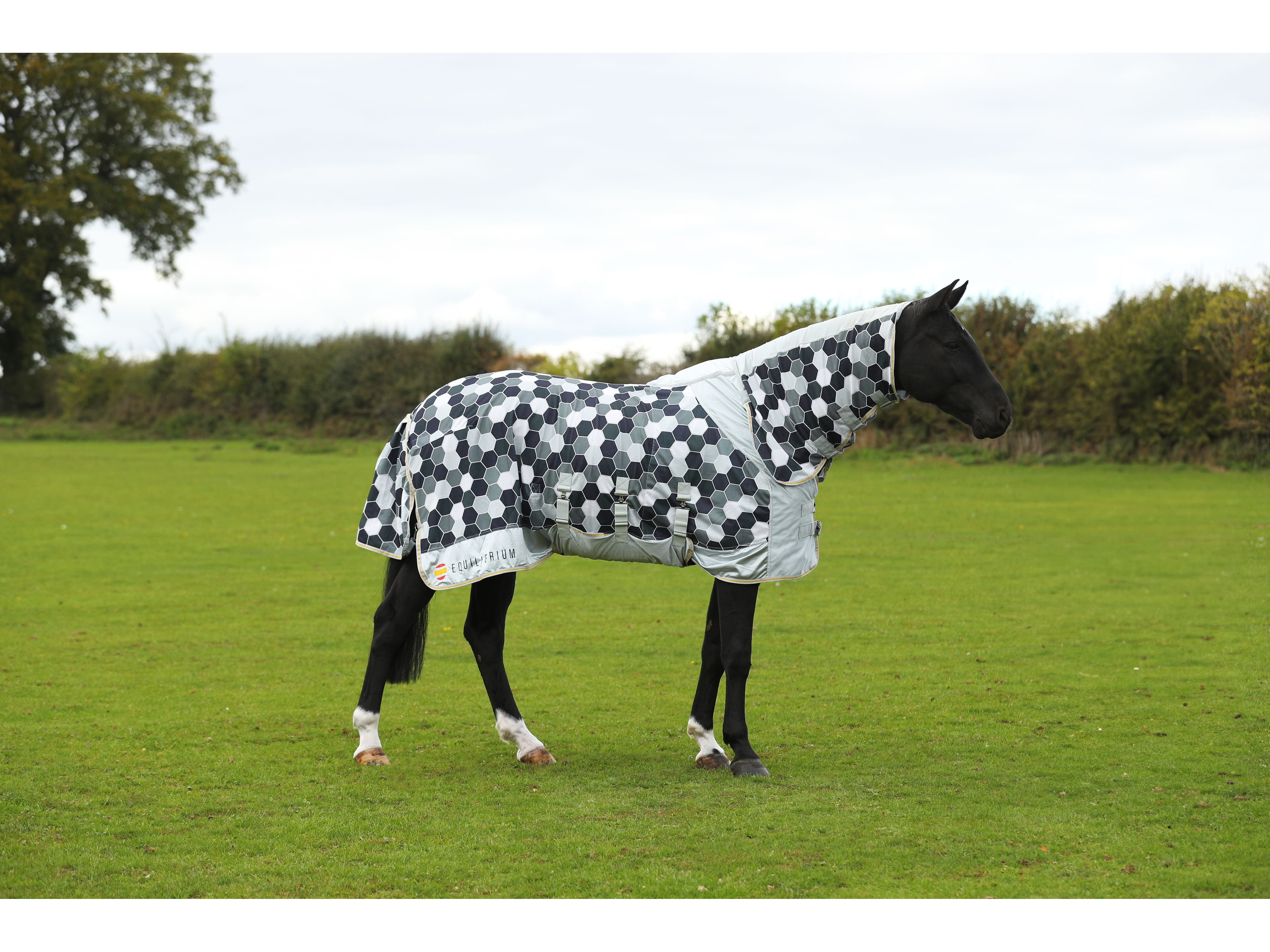 Equilibrium Field Relief Fly Rug