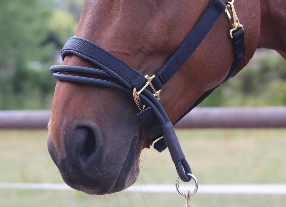 km elite ezyloader headcollar adaptor - equestrian equipment