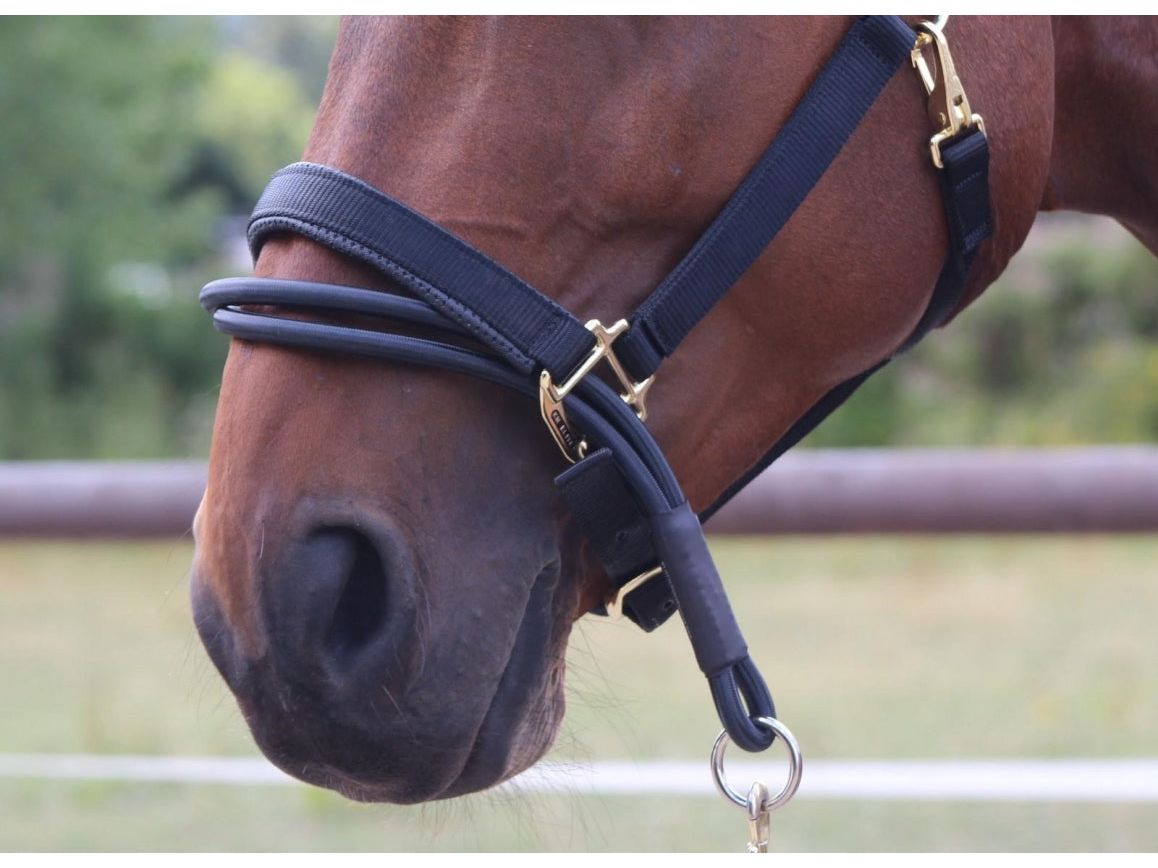 km elite ezyloader headcollar adaptor - equestrian equipment