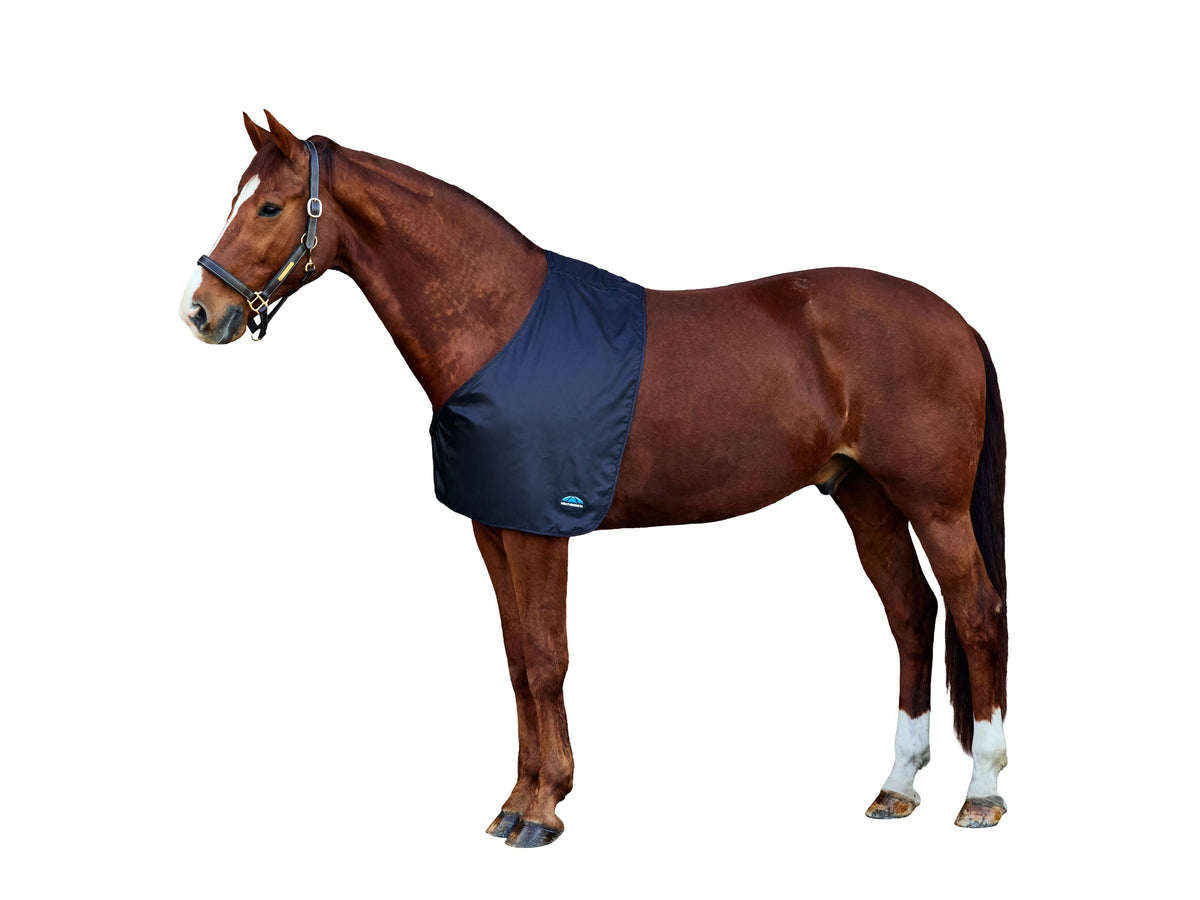 WeatherBeeta Satin Shoulder Guard in Black