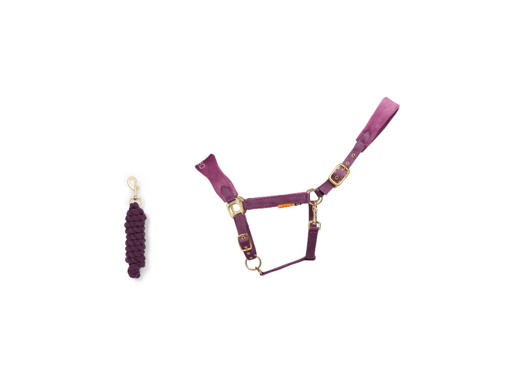 Suede Elite Headcollar & Rope set close-up