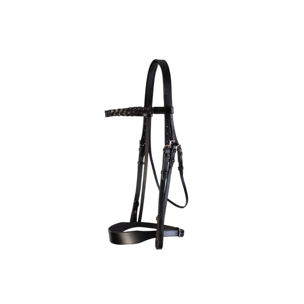 Hunt Bridle 2 Browbands