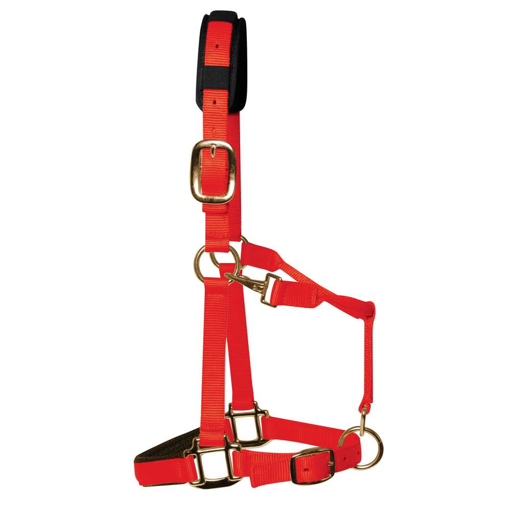 km elite padded headcollar red - equestrian equipment