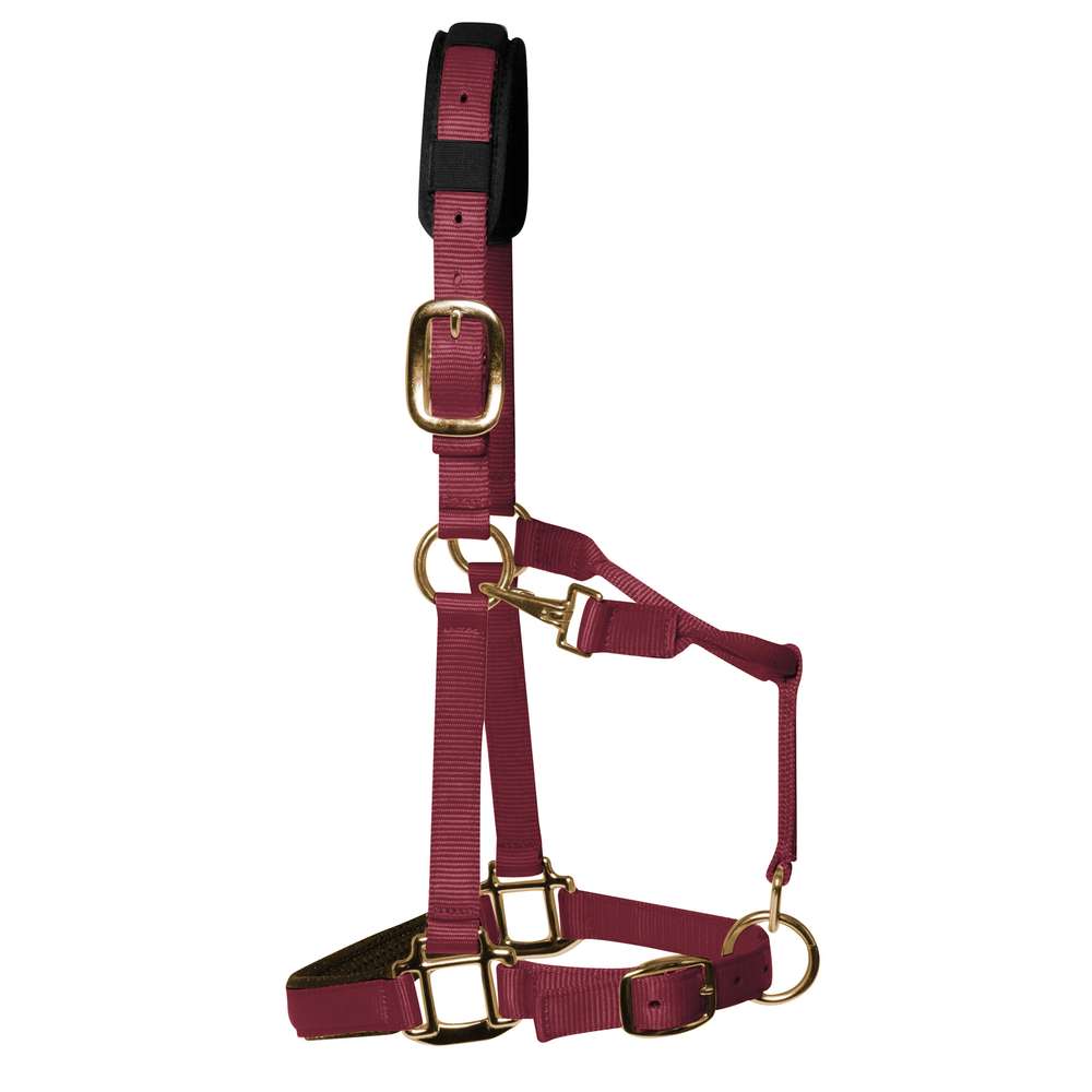 km elite padded headcollar burgundy - equestrian equipment