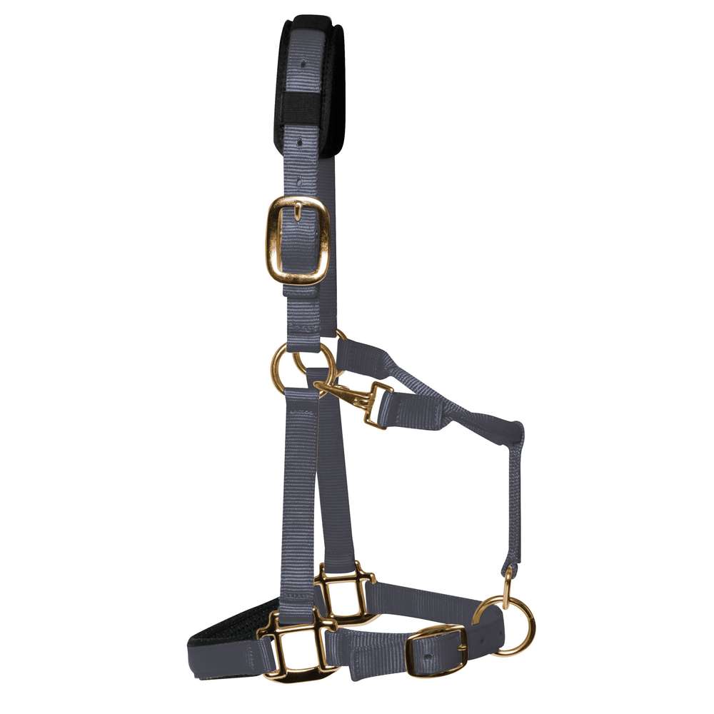 km elite padded headcollar grey - equestrian equipment