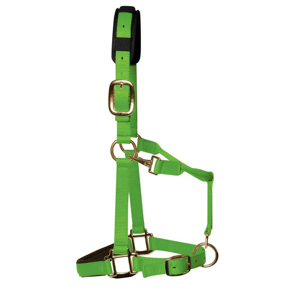 km elite padded headcollar hot green - equestrian equipment
