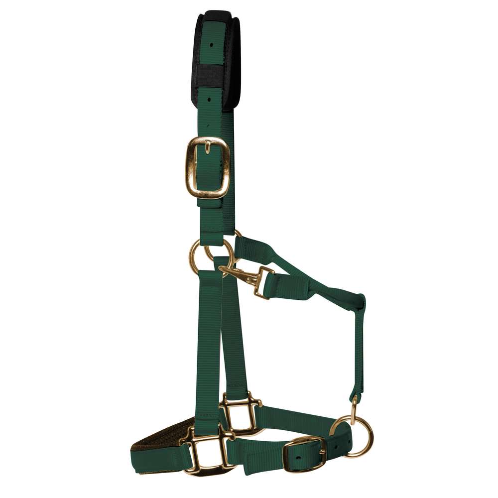 km elite padded headcollar hunter green - equestrian equipment