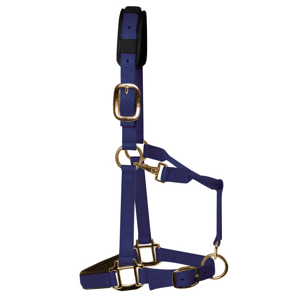 km elite padded headcollar navy - equestrian equipment