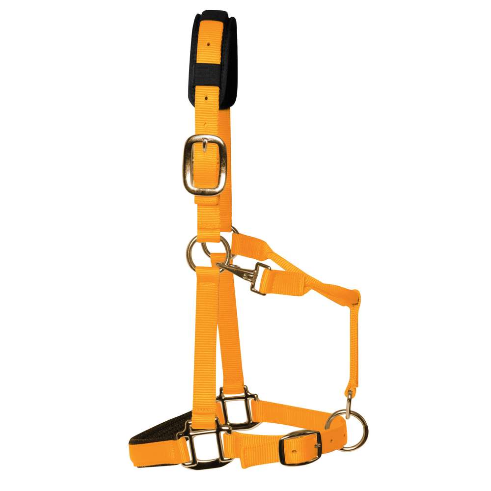 km elite padded headcollar orange - equestrian equipment