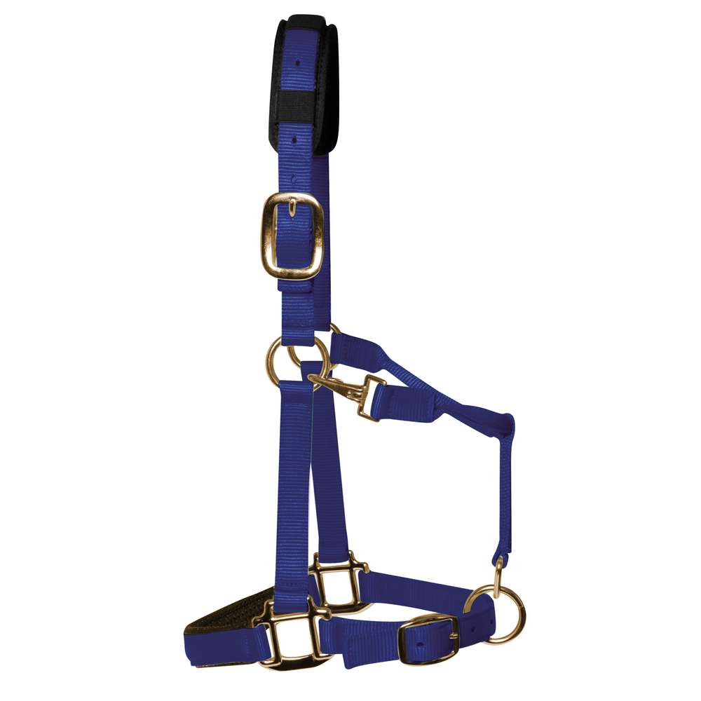 km elite padded headcollar royal blue - equestrian equipment