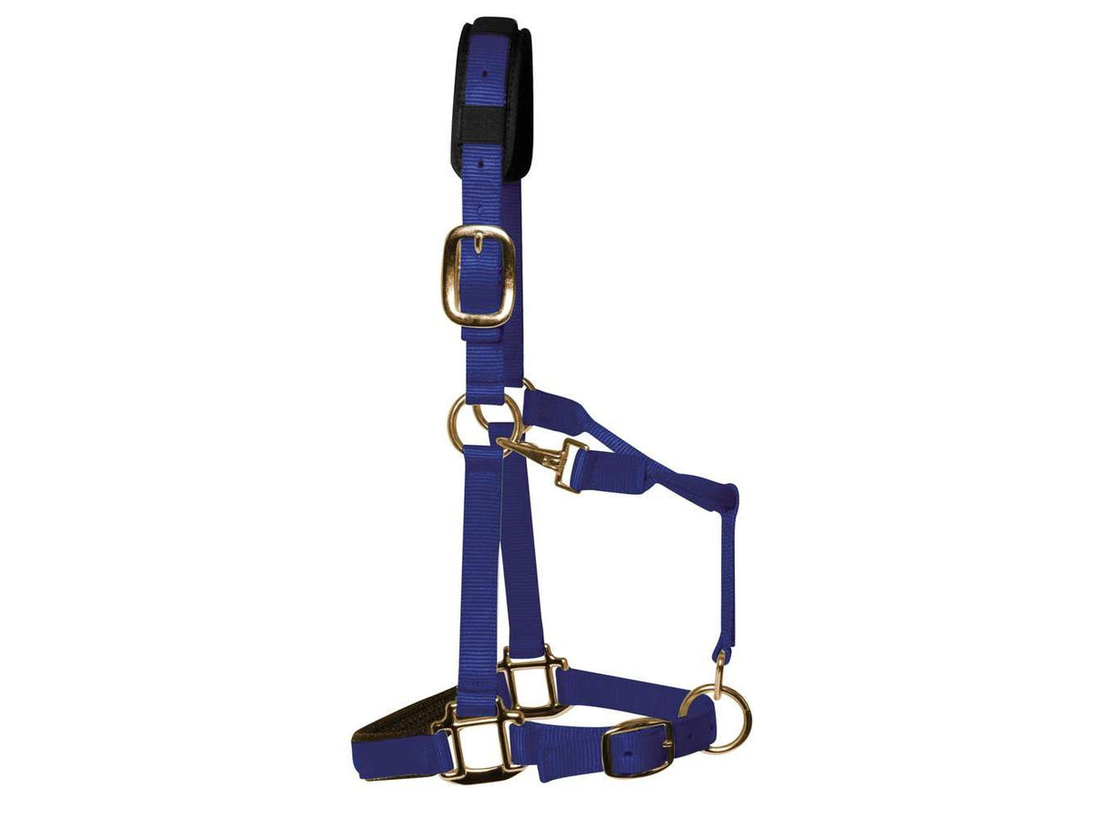 km elite padded headcollar royal blue - equestrian equipment