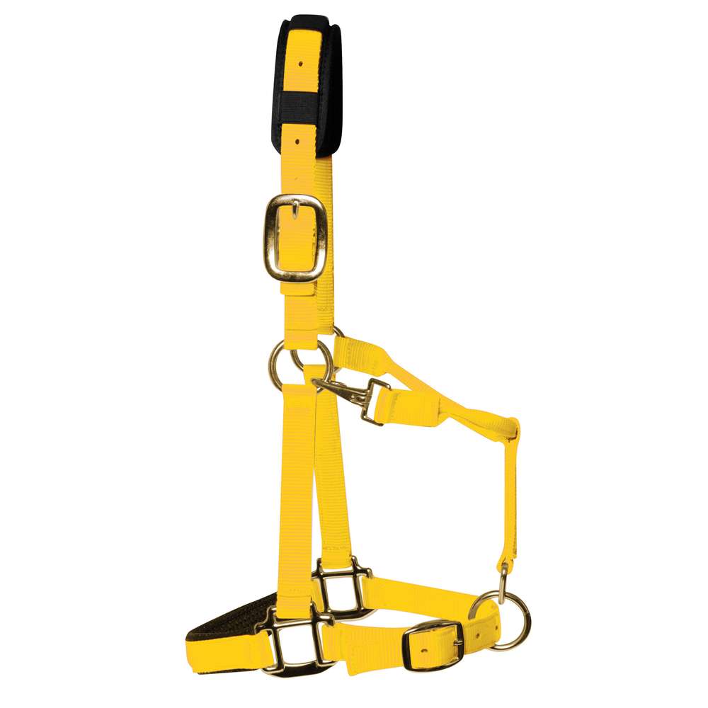 km elite padded headcollar yellow - equestrian equipment