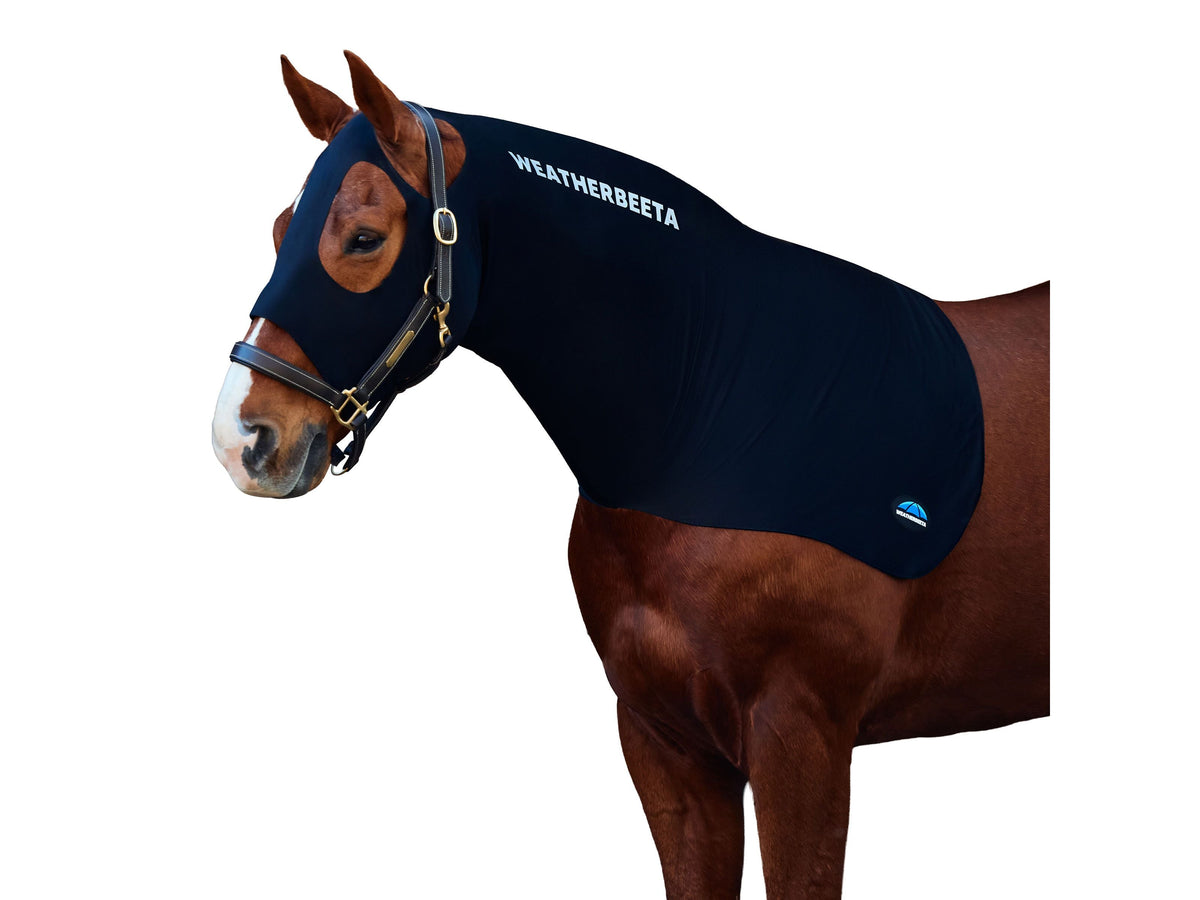 WeatherBeeta Stretch Hood in Black
