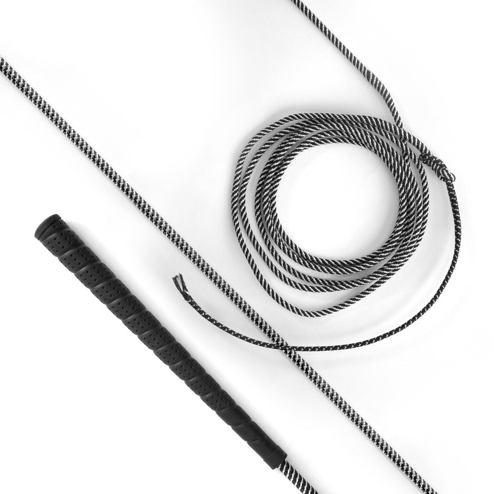 lunge whip - equestrian equipment