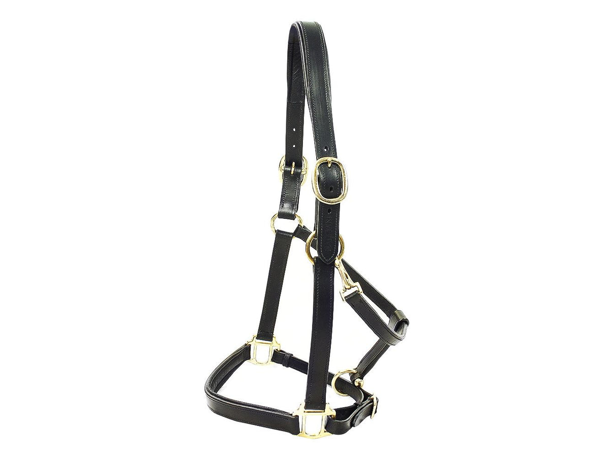 KM Elite Padded Leather Headcollar - Black