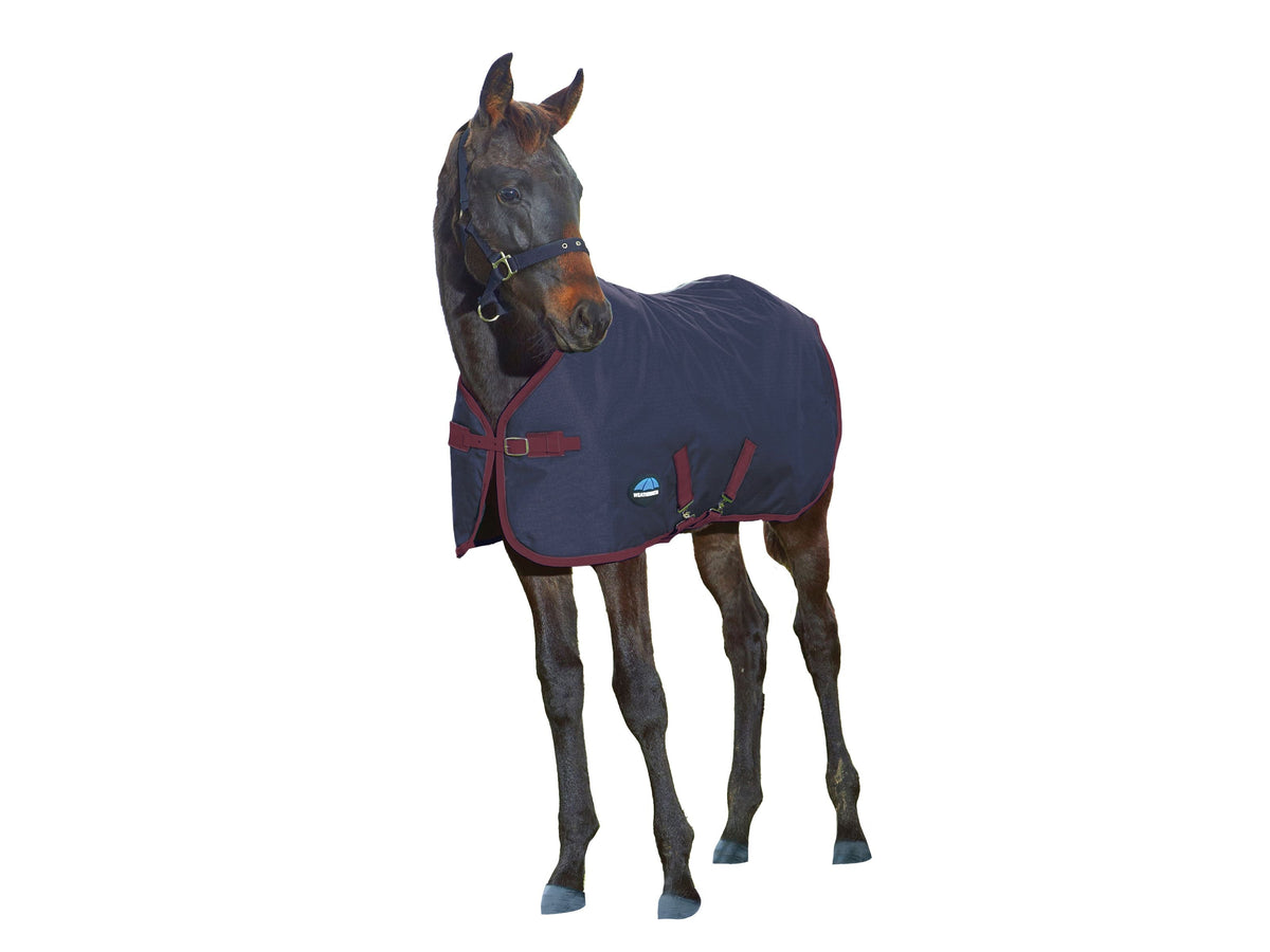 WeatherBeeta 1200D Foal Standard Neck 220g in Navy/Burgundy