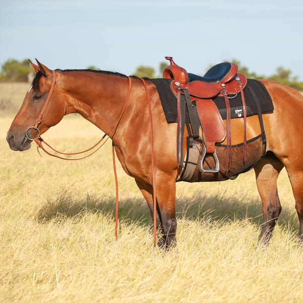 cashel crusader quiet ride belly guard - equestrian equipment