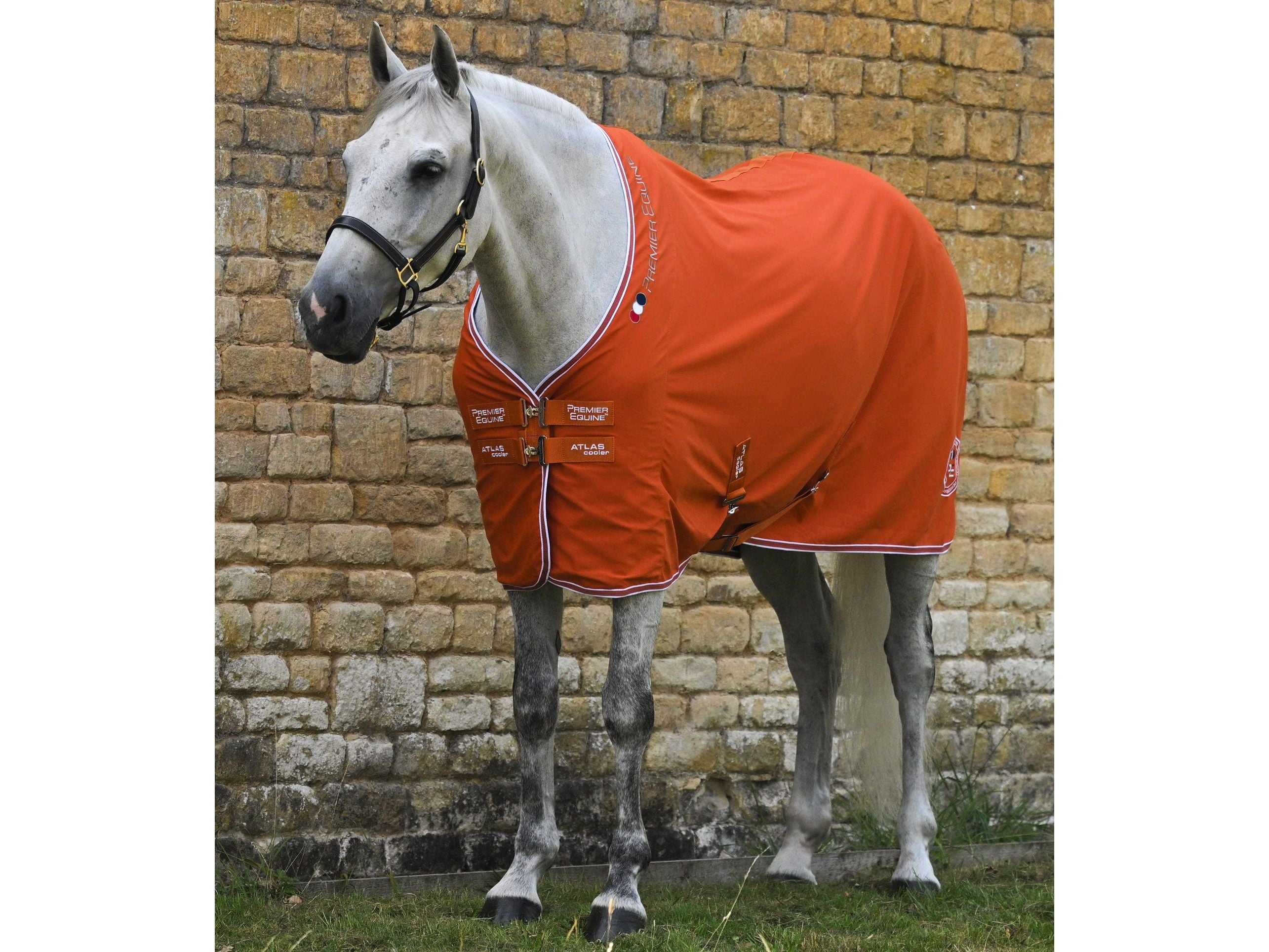 Atlas Horse Cooler Rug