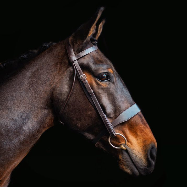 Hunt Bridle 2 Browbands