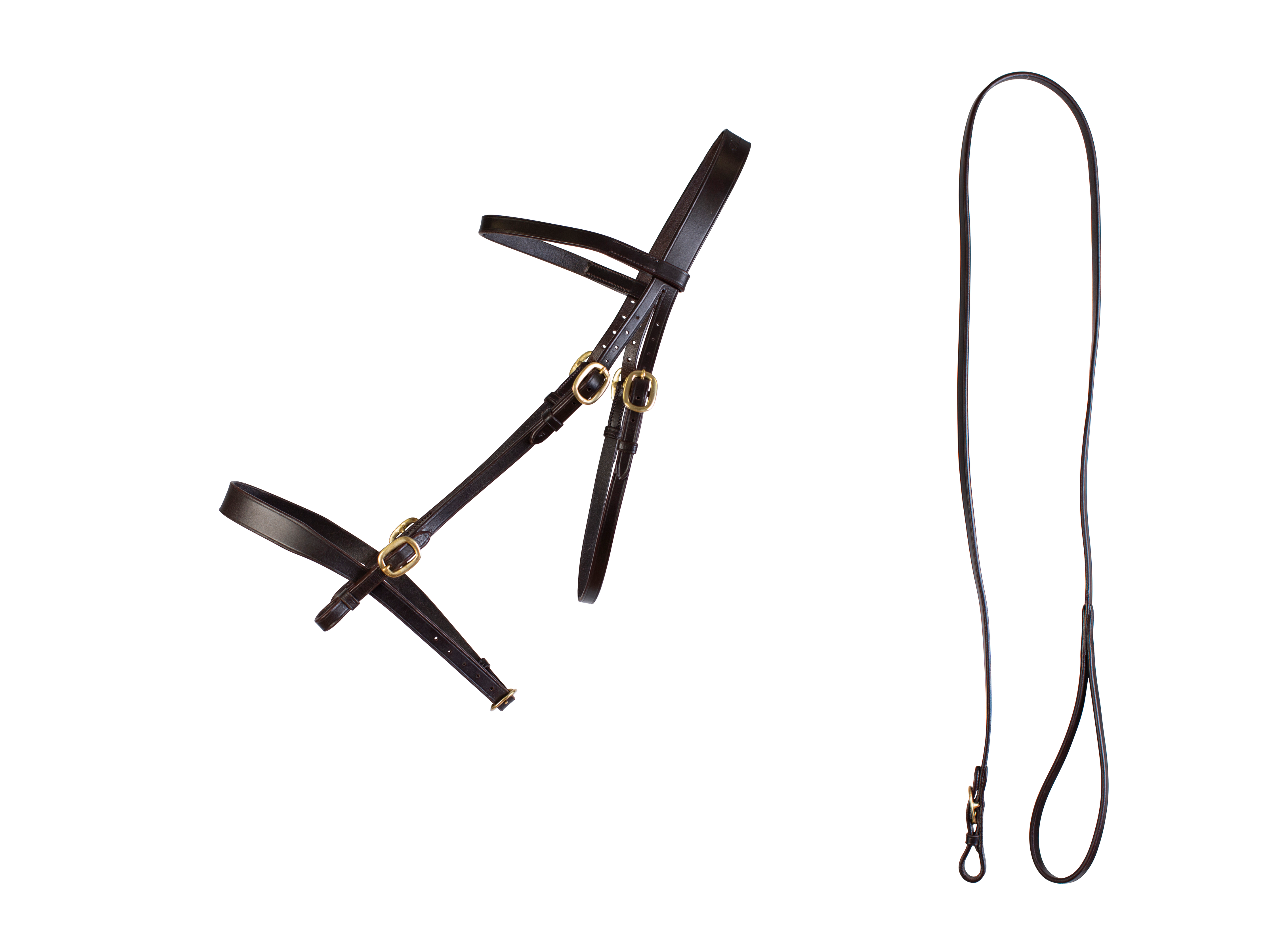 In Hand Bridle and Lead main view