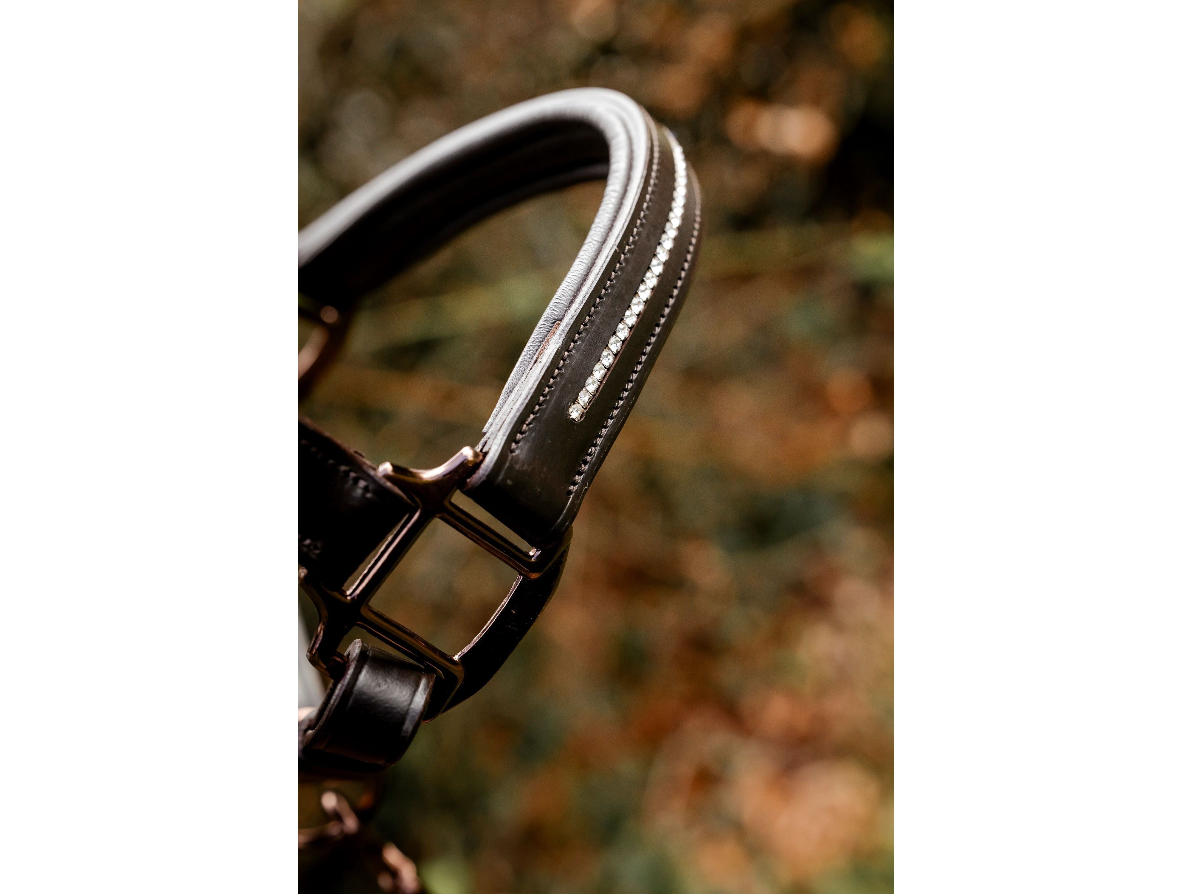 Competition Leather Headcollar & Rope close-up