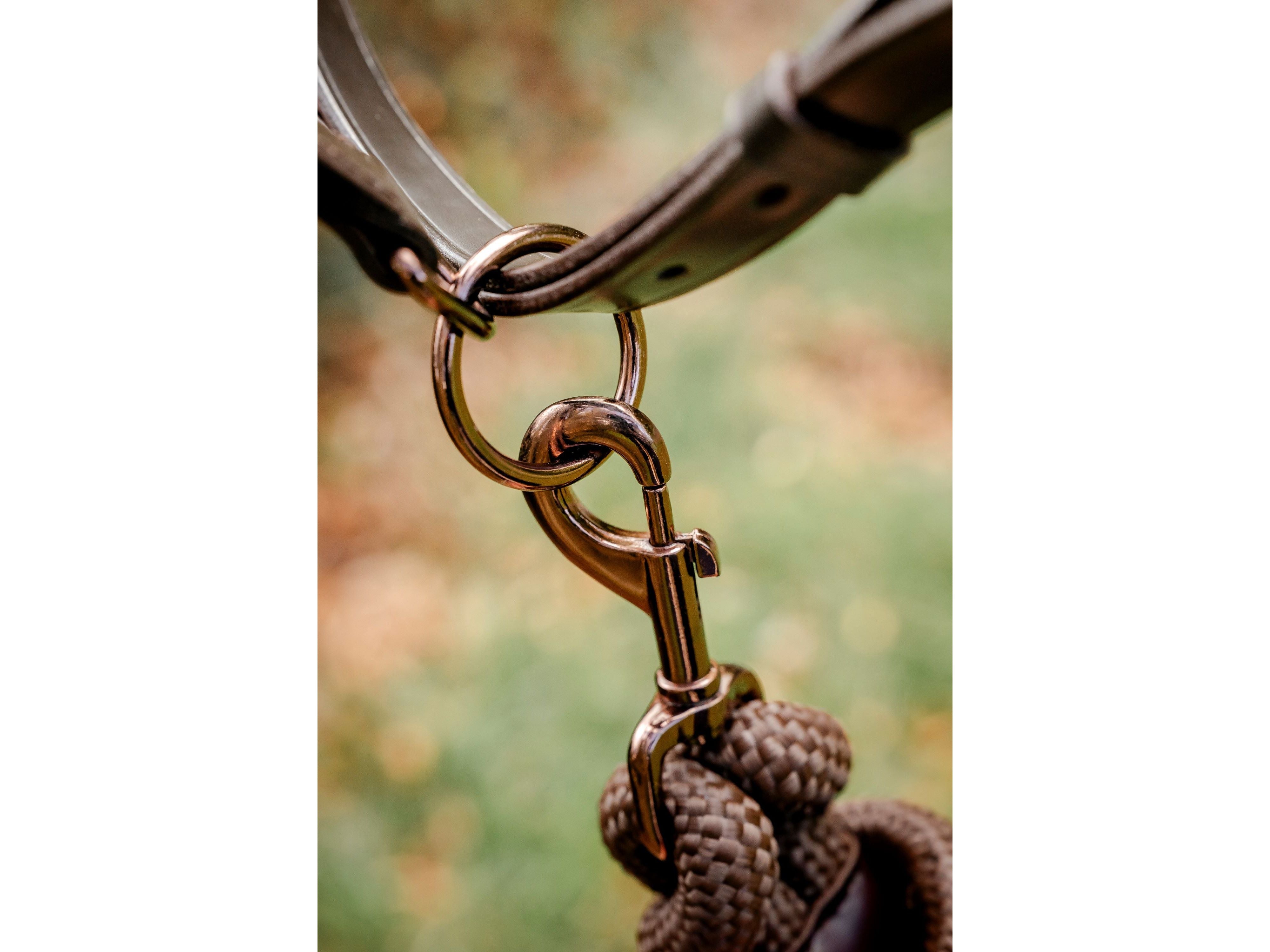Competition Leather Headcollar & Rope detail view