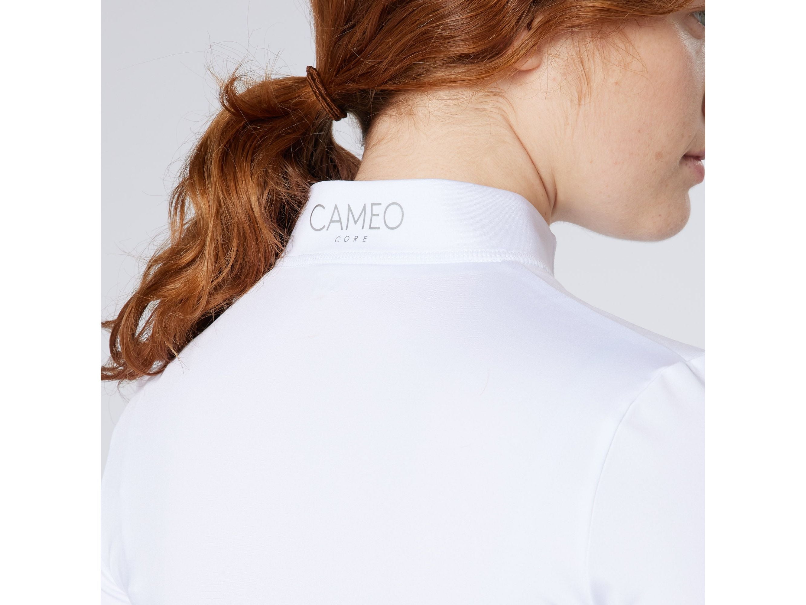 Core Collection Baselayer view