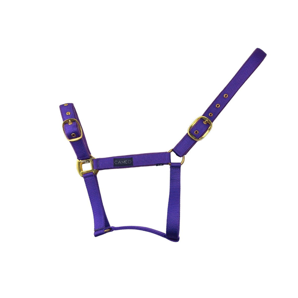 Suede Padded Headcollar