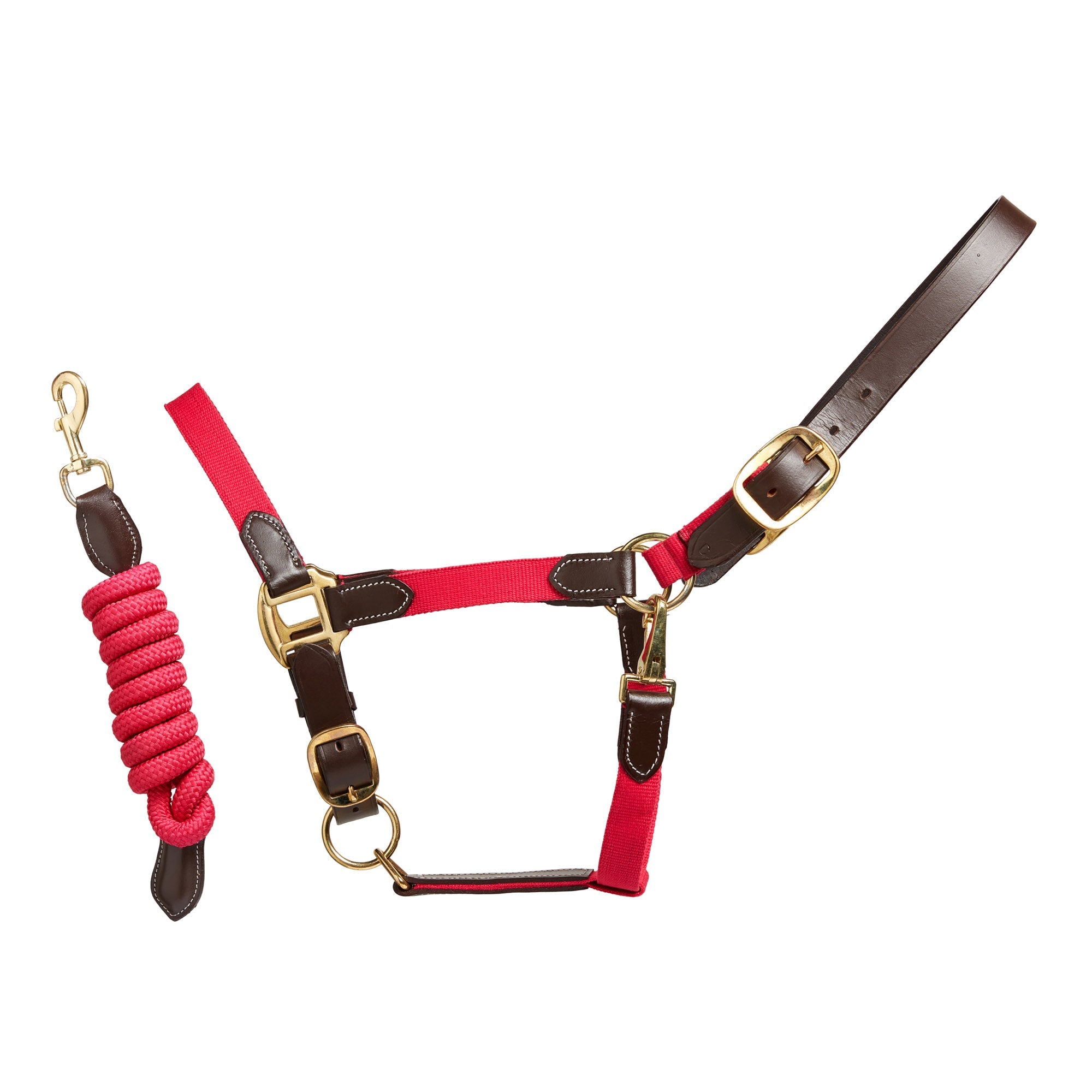 Performance Leather Headcollar & Lead