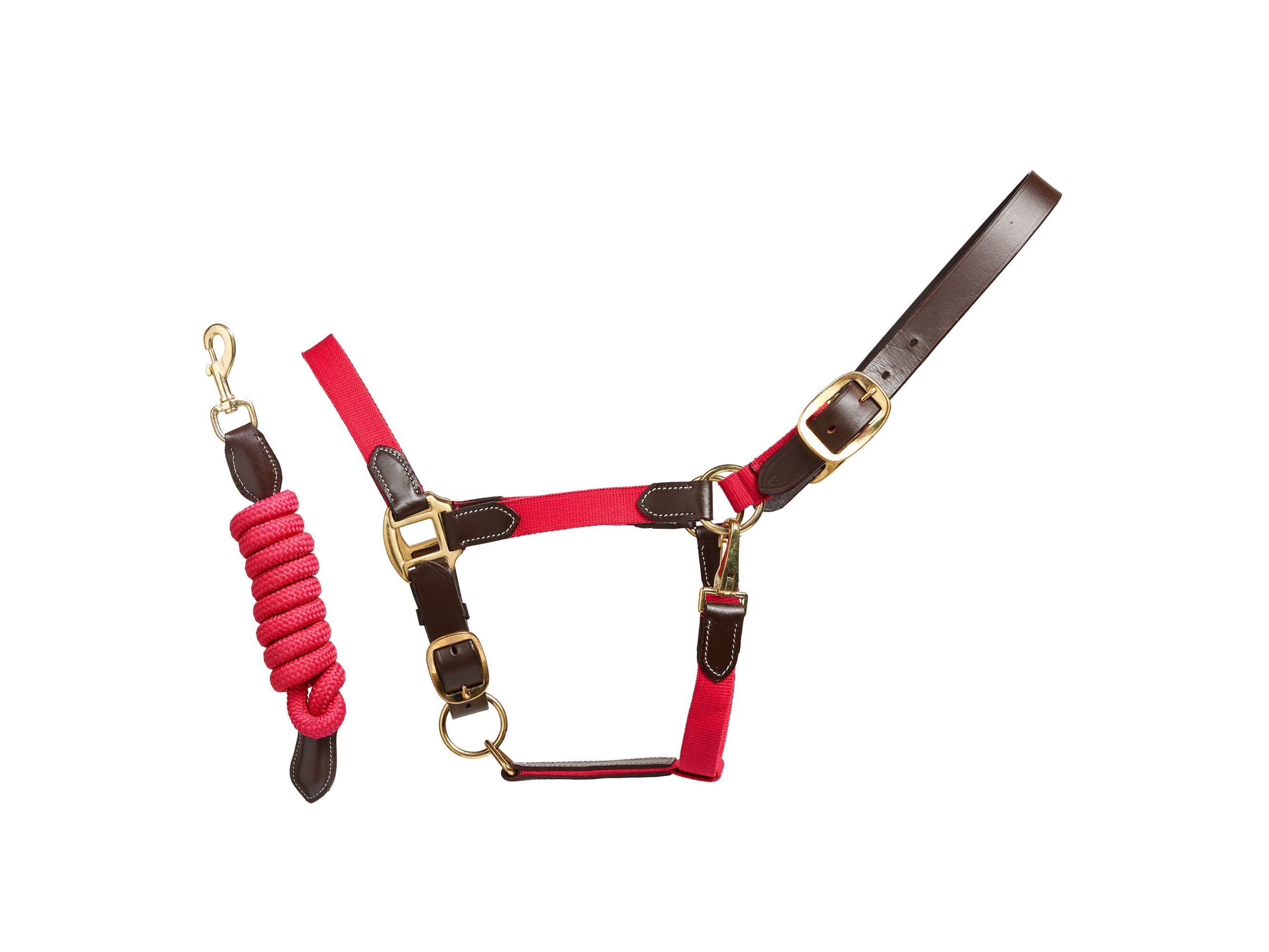 Performance Leather Headcollar & Lead main view