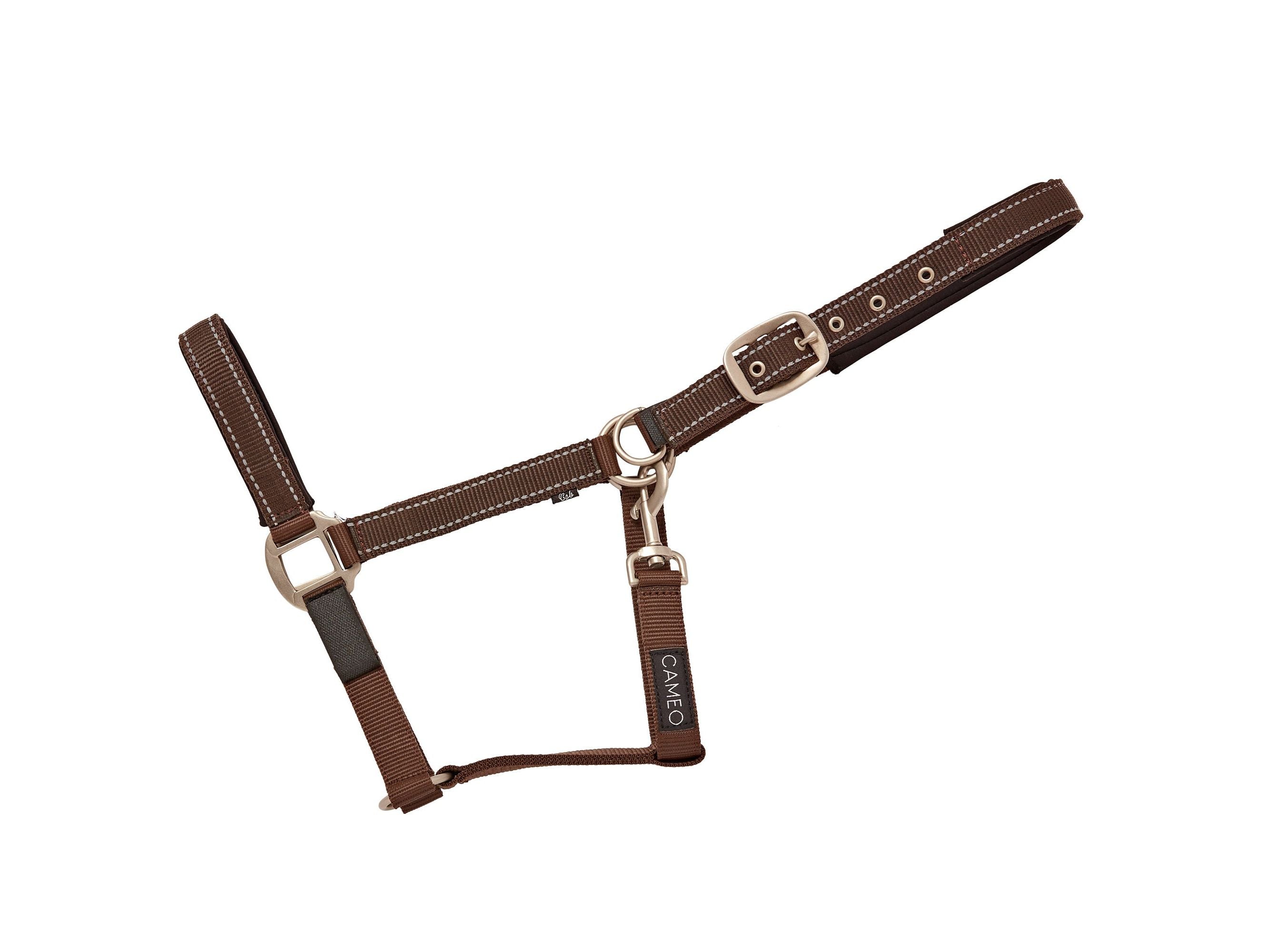 Fieldsafe Headcollar angled view