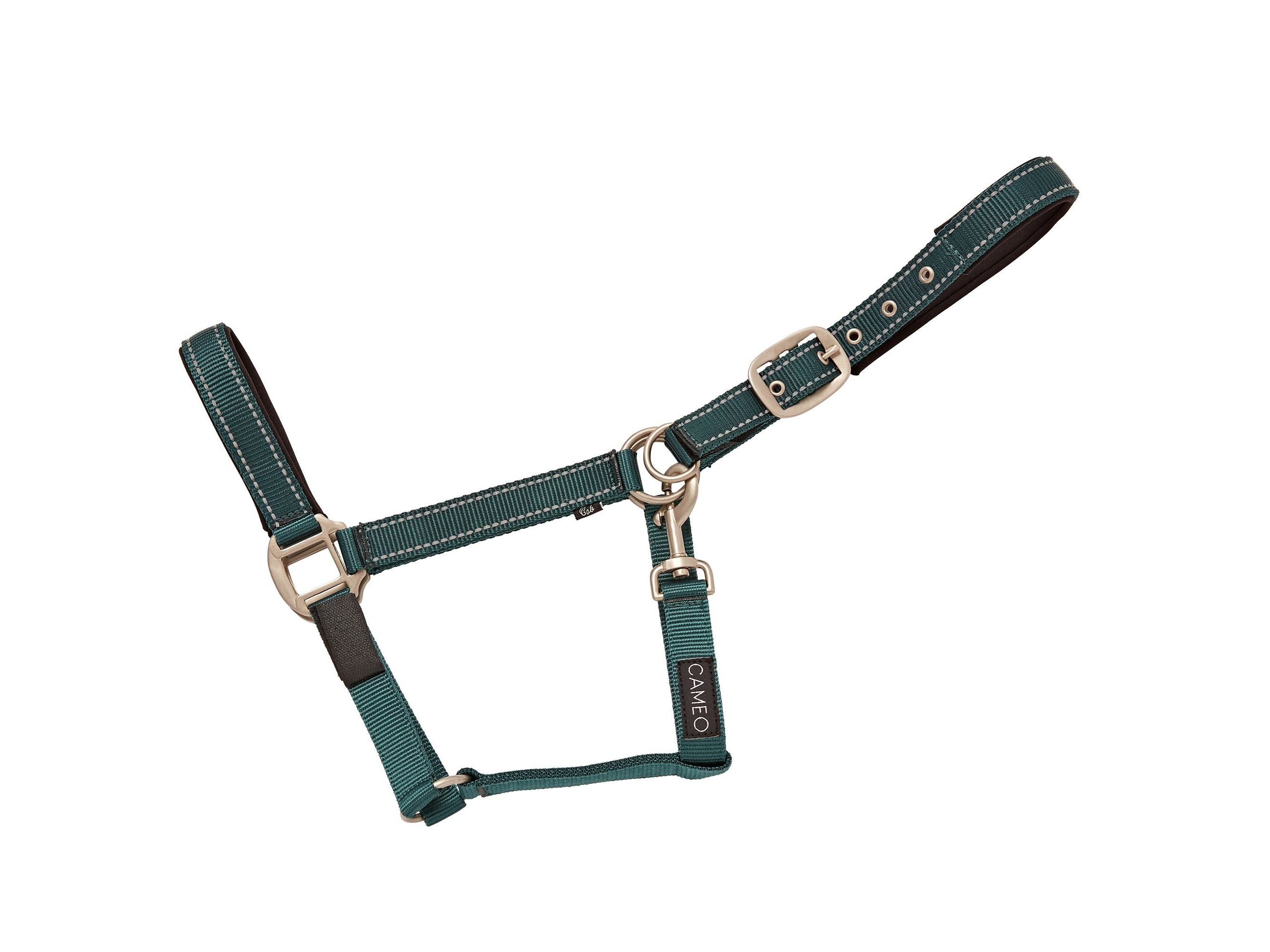 Fieldsafe Headcollar close-up