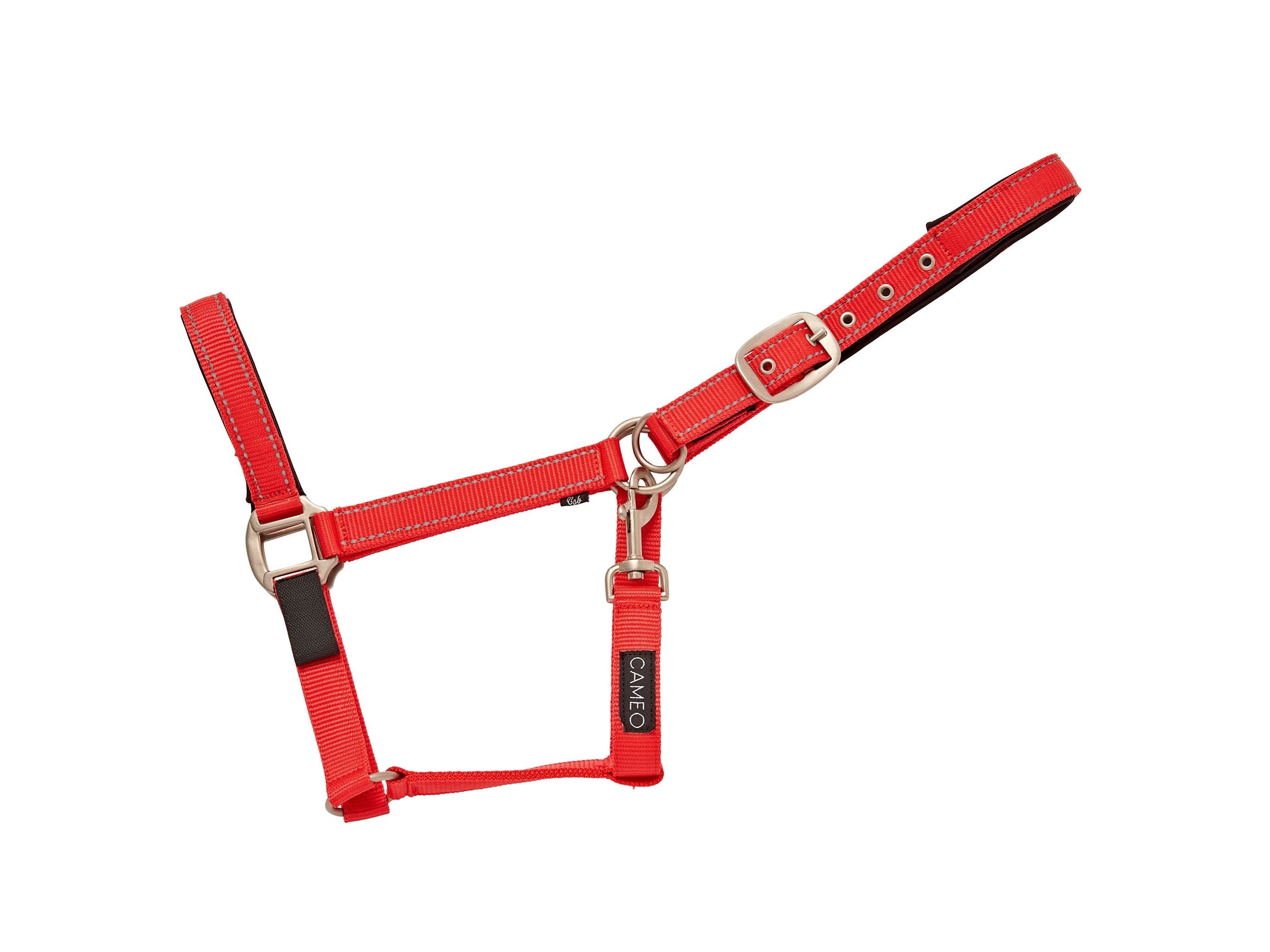 Fieldsafe Headcollar detail view
