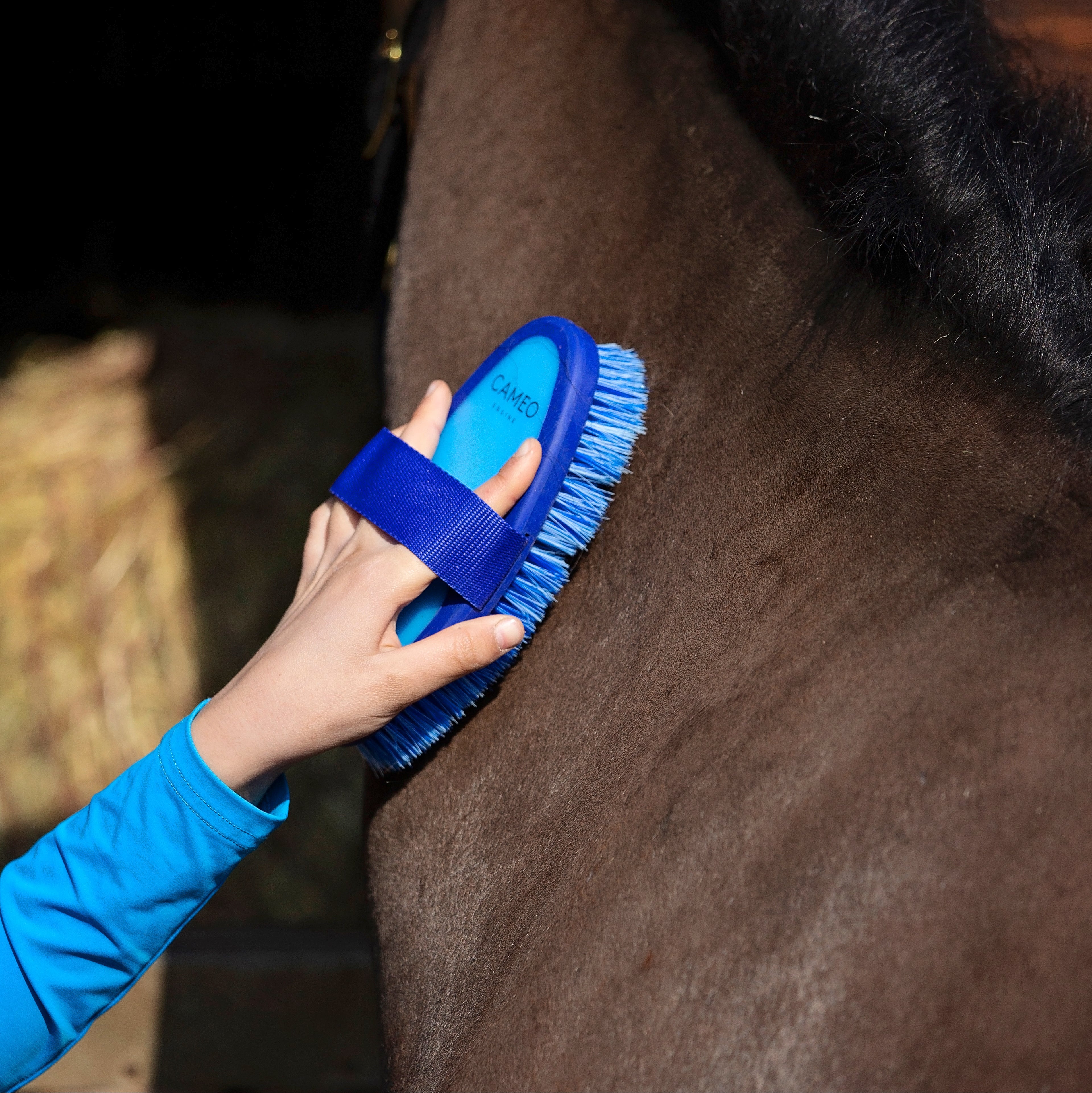 Flexi Brush