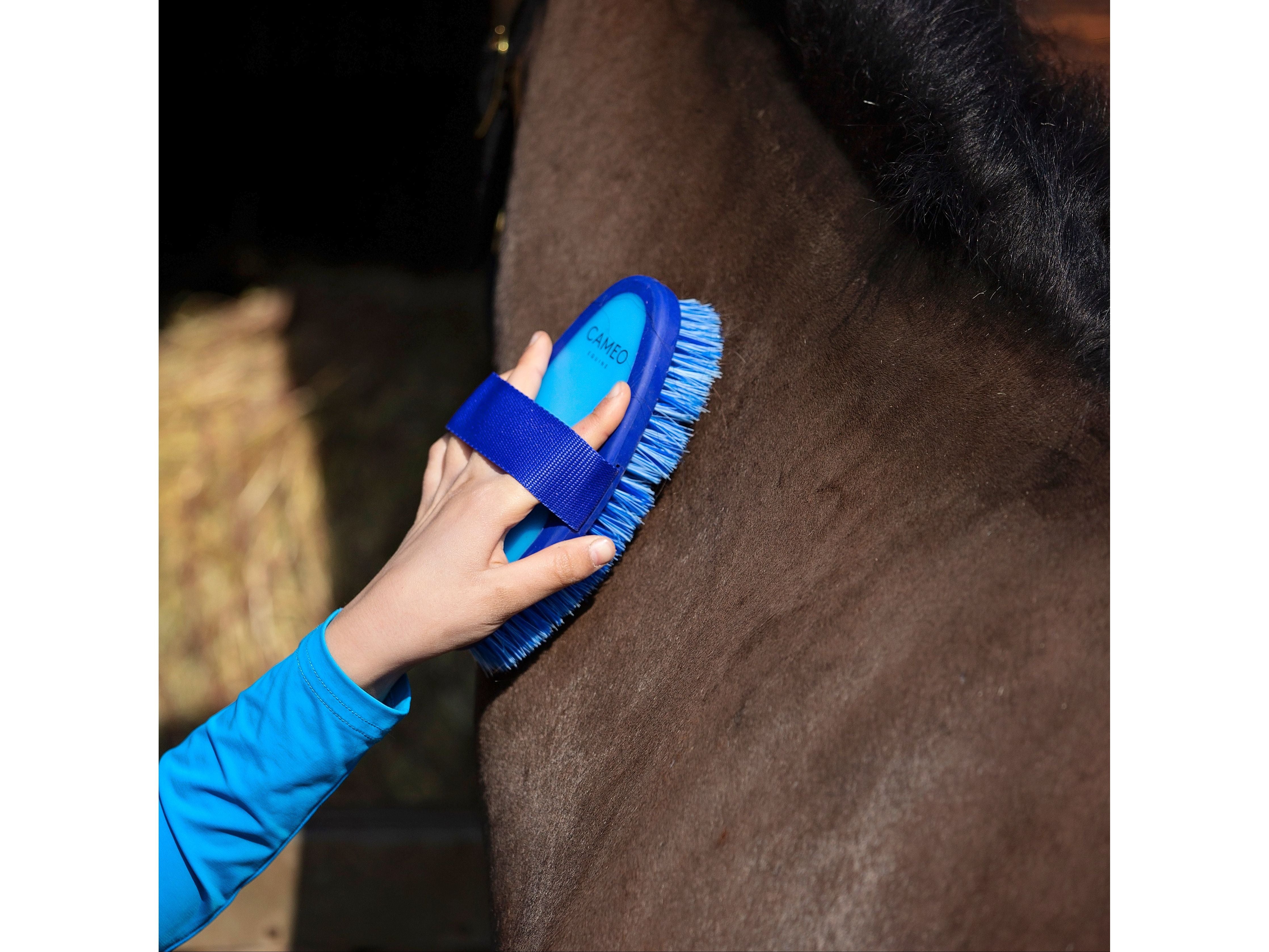 Flexi Brush view