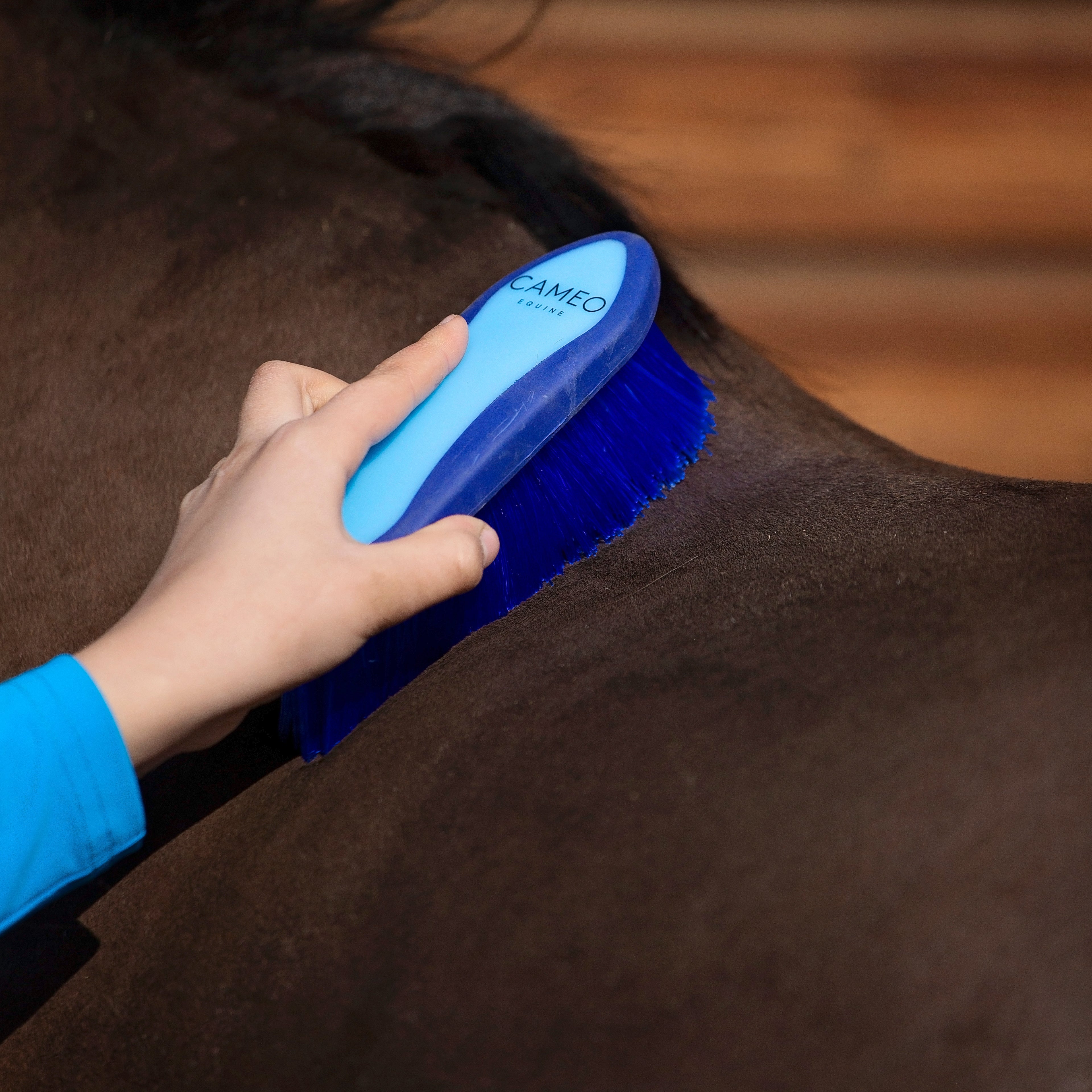 Dandy Brush