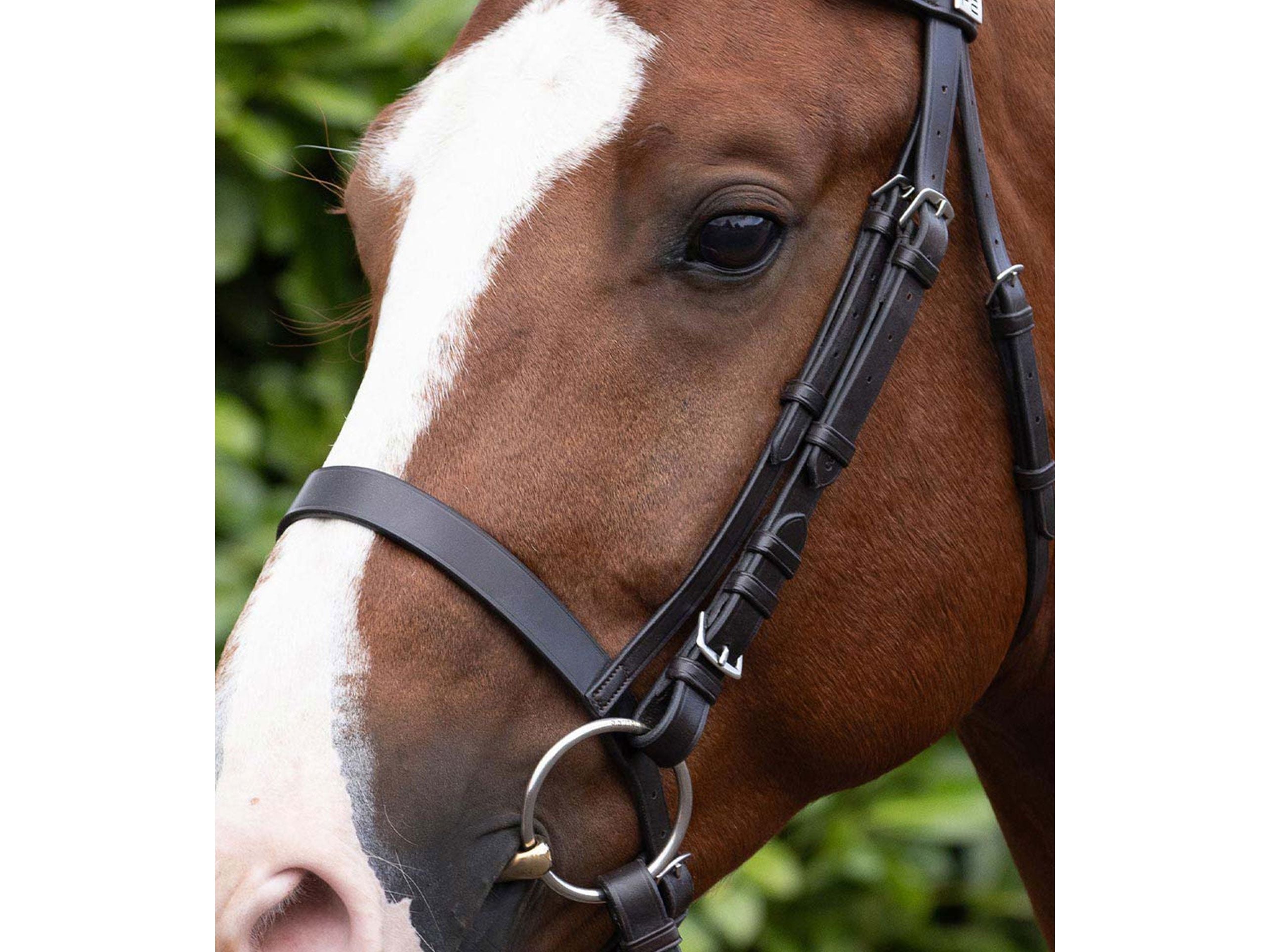 Cavesson Noseband for Racing Bridle