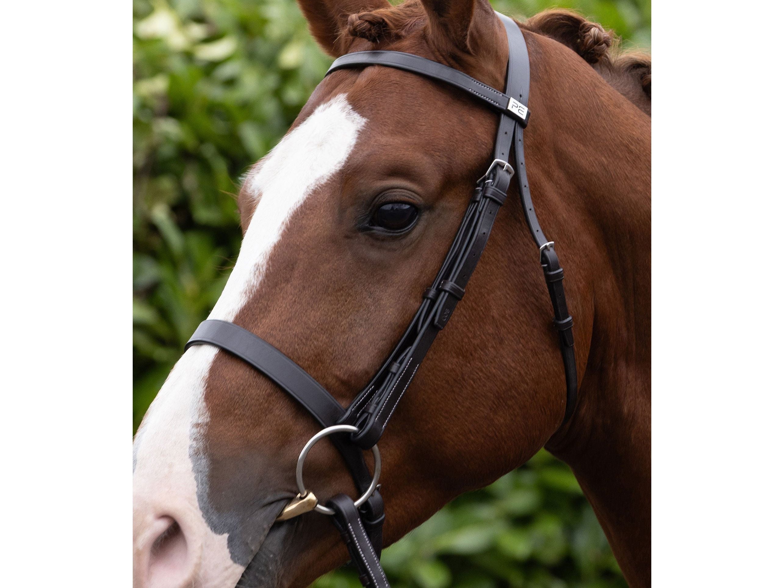 Cheek Pieces for Hunter Bridle