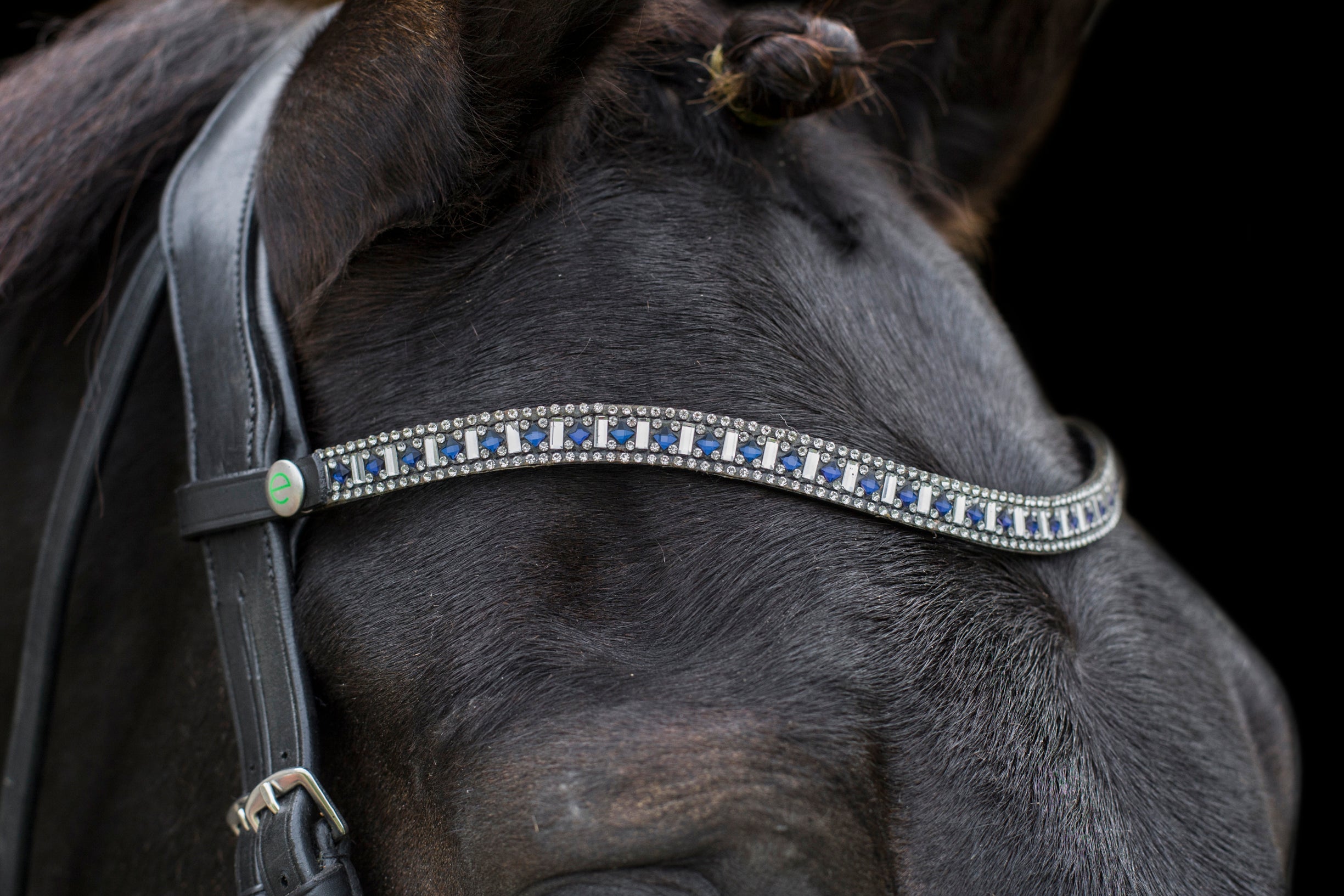 Freedom Sapphire Browband