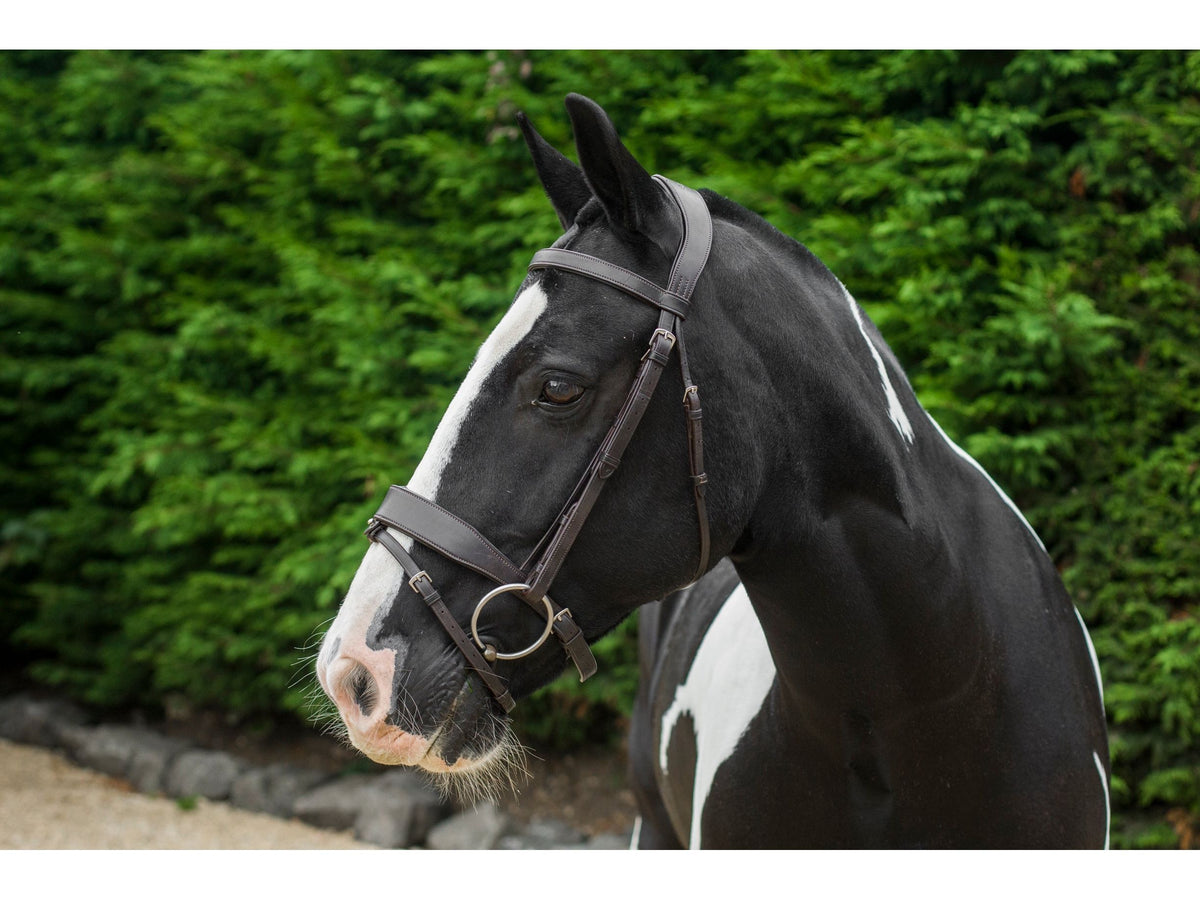 Freedom Show Comfort Noseband angled view
