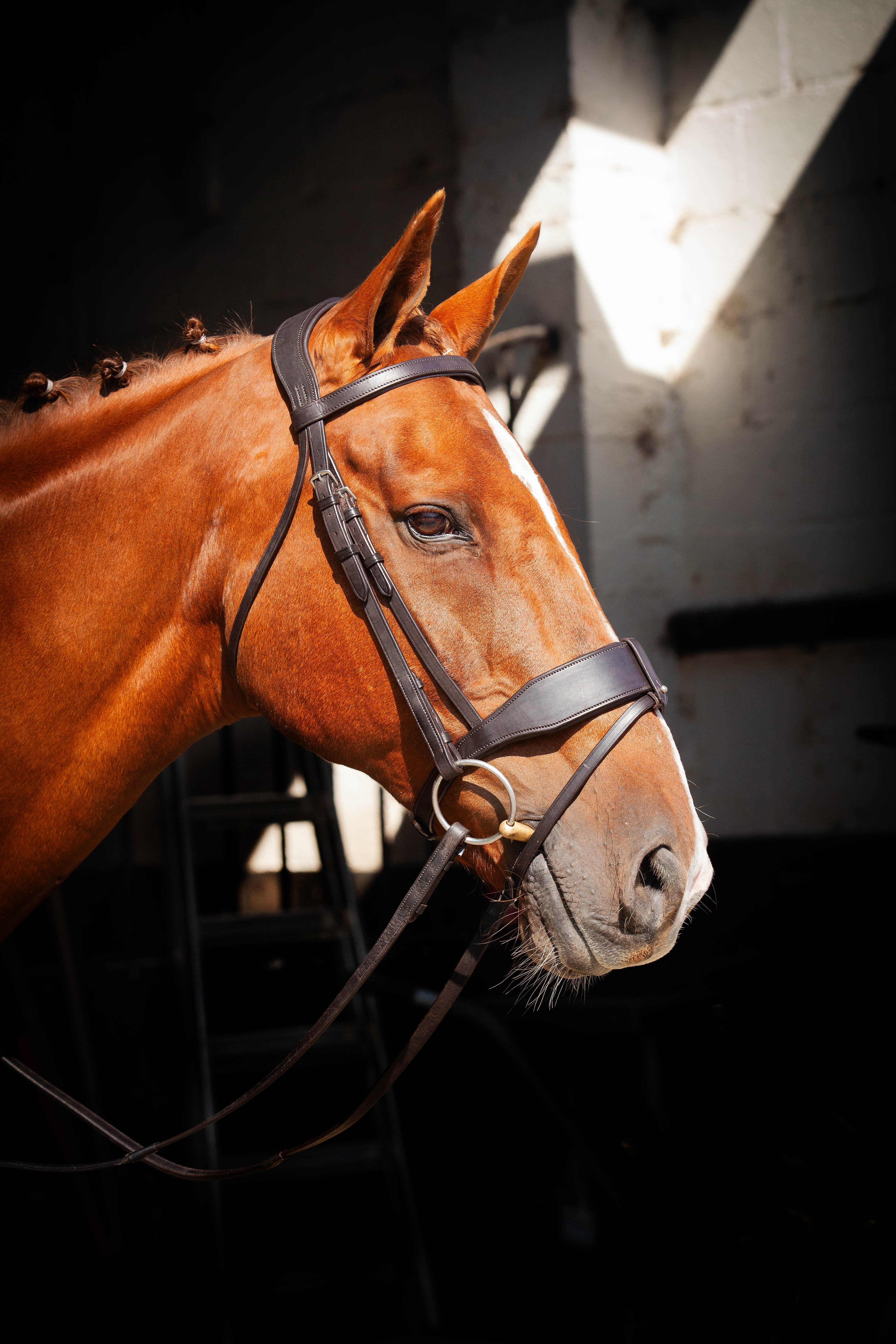 Classic Show Comfort Bridle