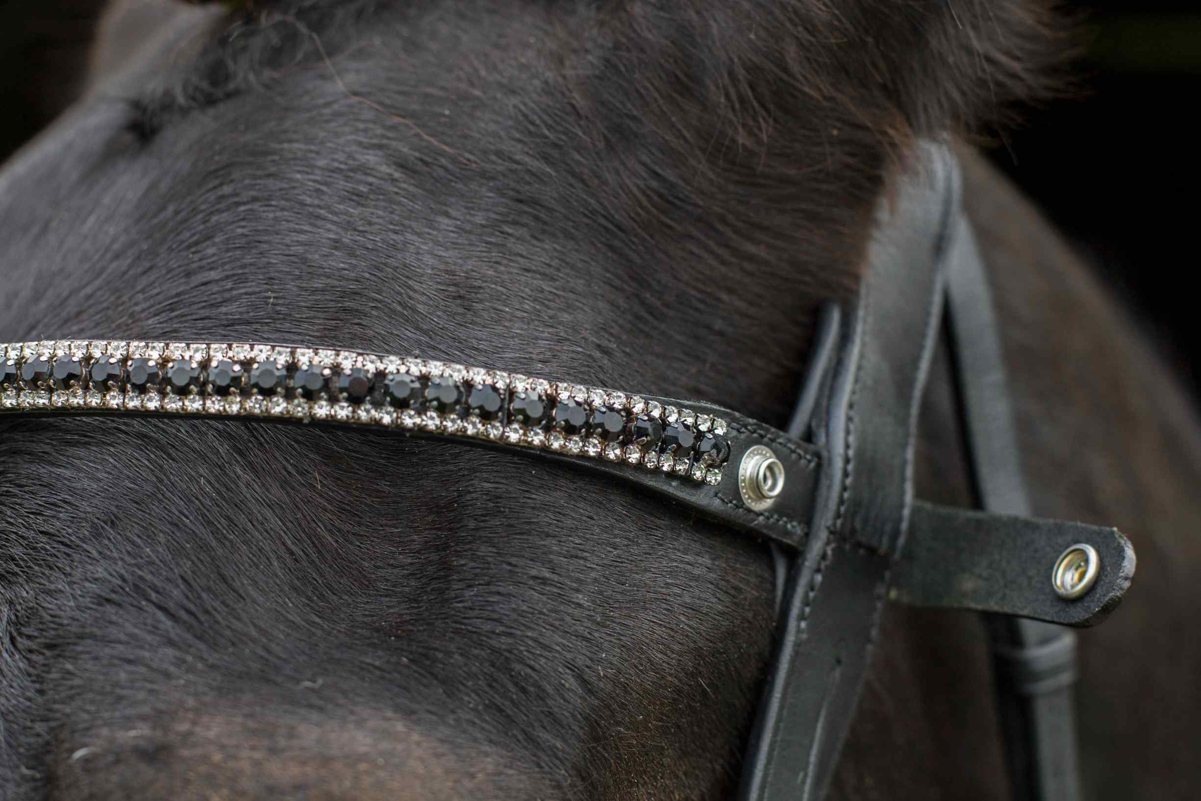 Freedom Juliette Browband