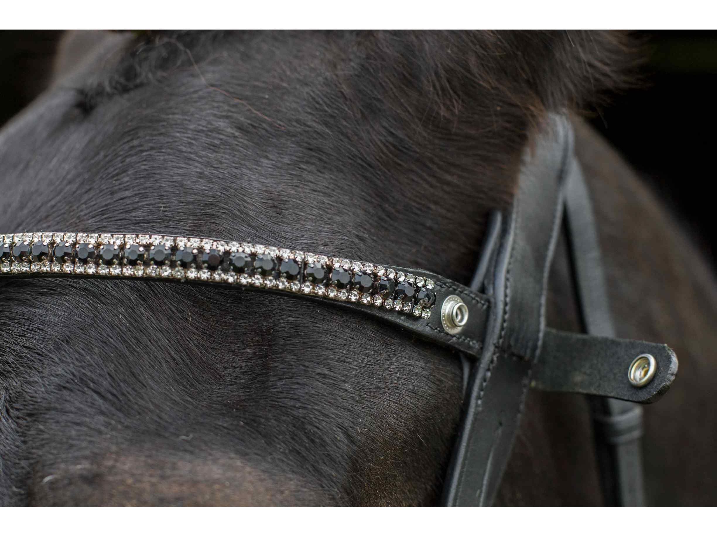 Freedom Juliette Browband side view
