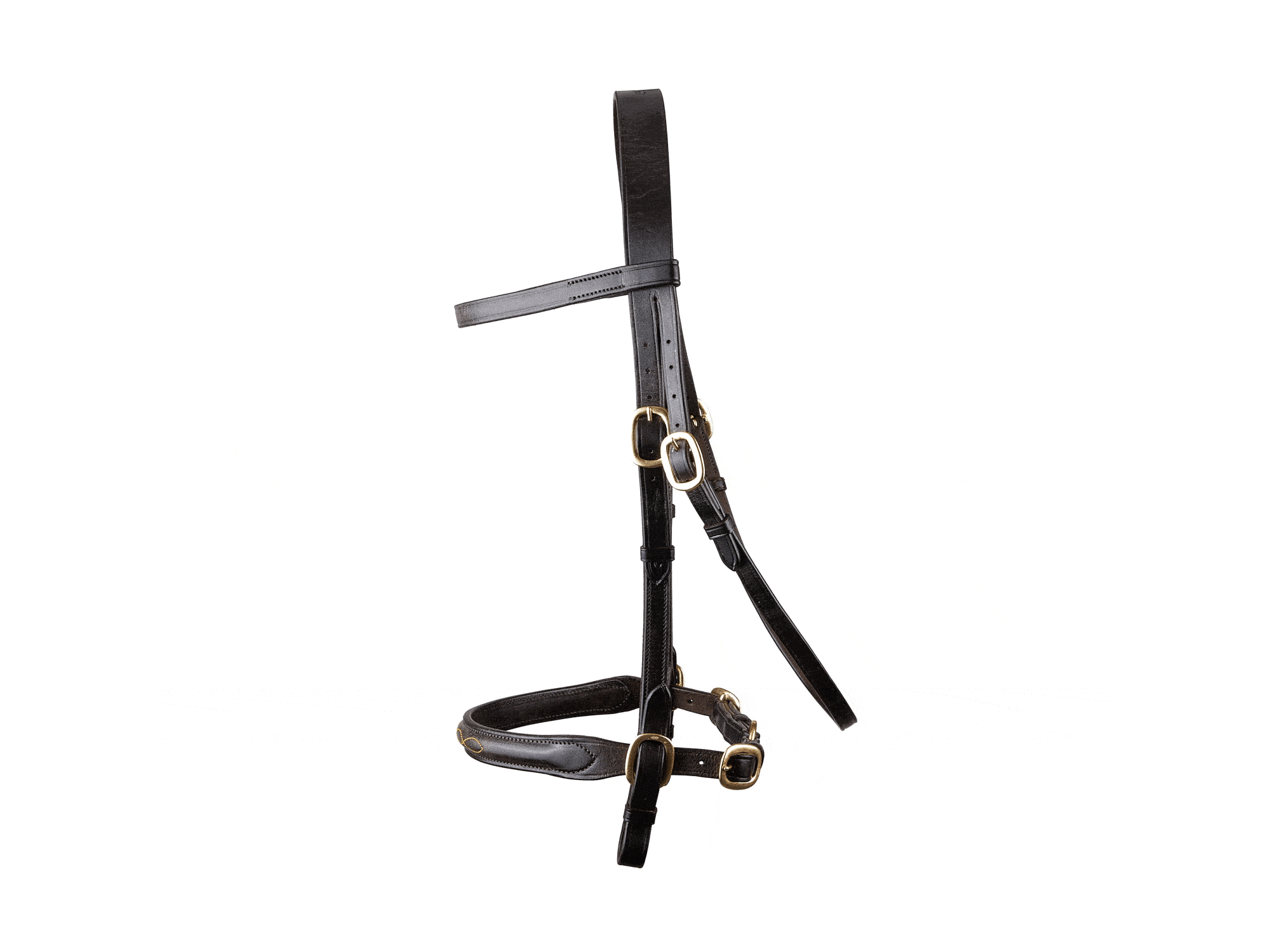 Classic In hand Bridle main view